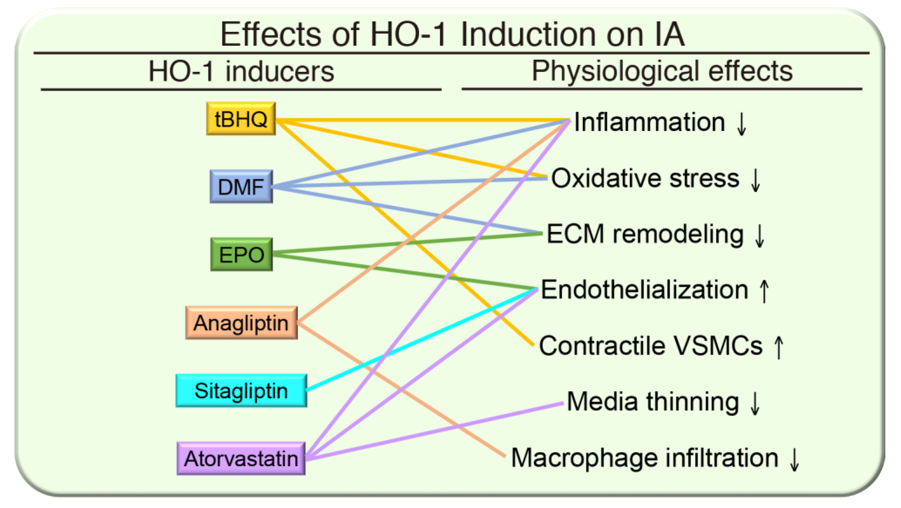 Antioxidants 09 01150 g003 Antioxidants 09 01150 g003
