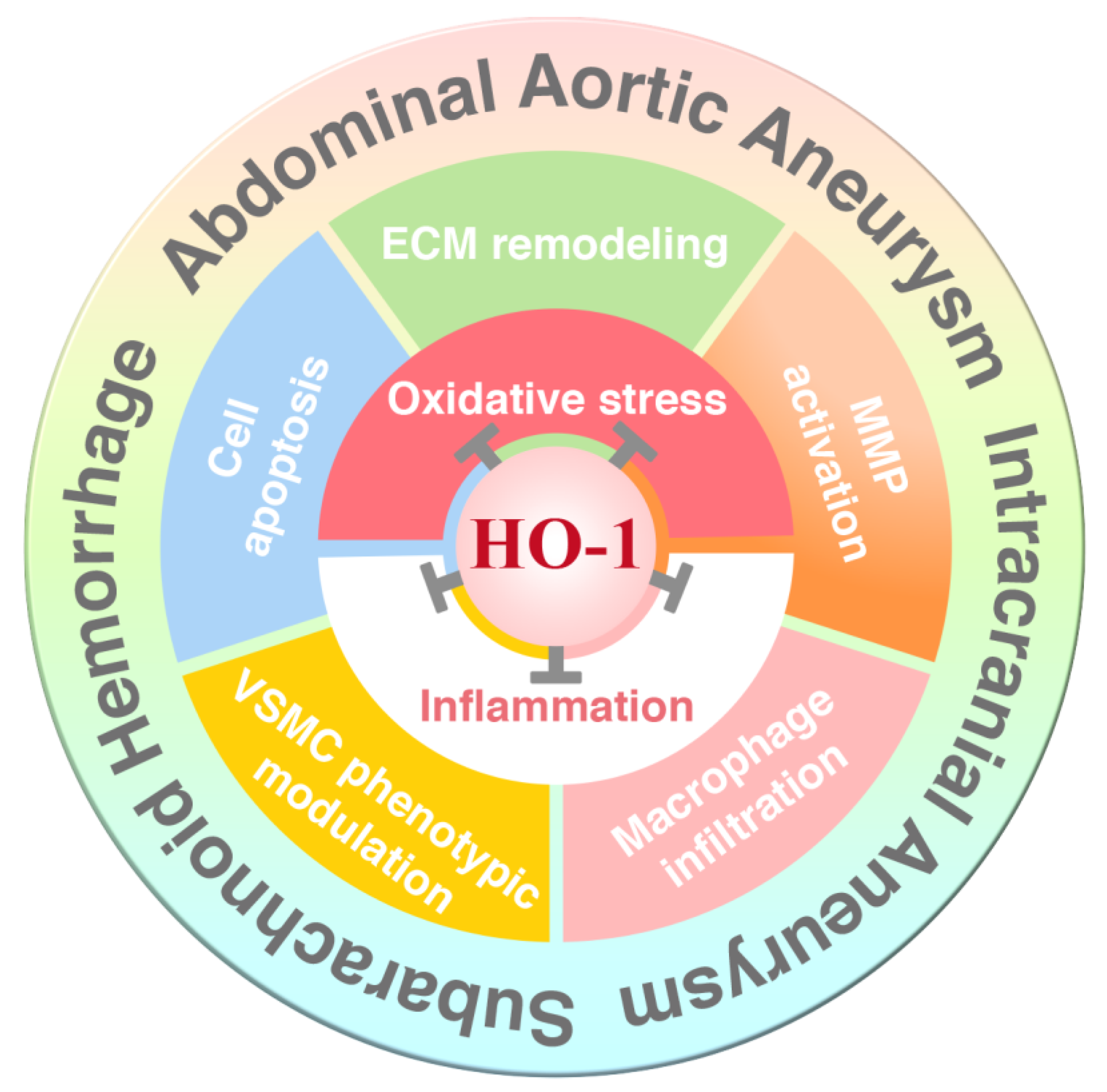 Antioxidants 09 01150 g005 Antioxidants 09 01150 g005