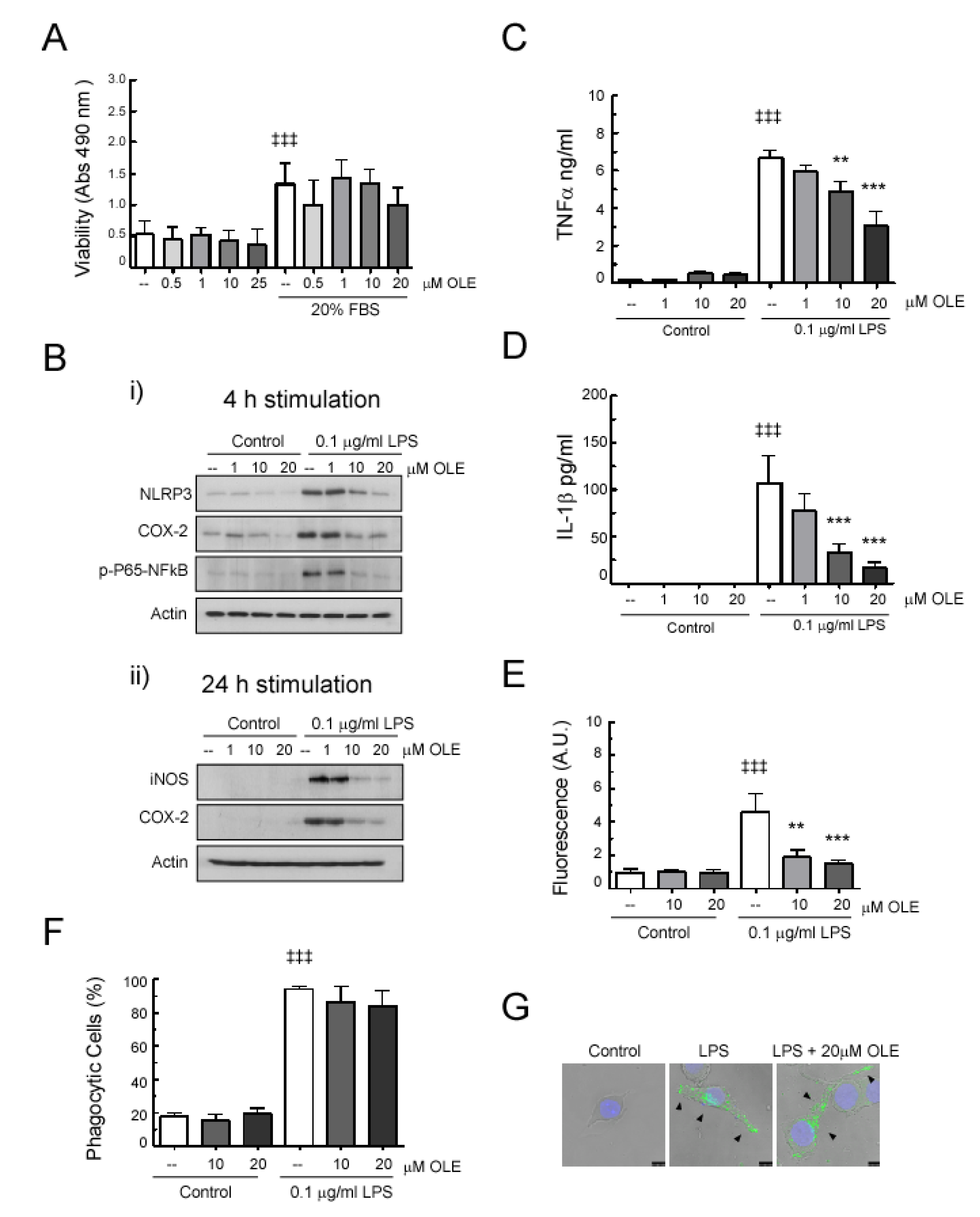 Antioxidants 09 01161 g006
