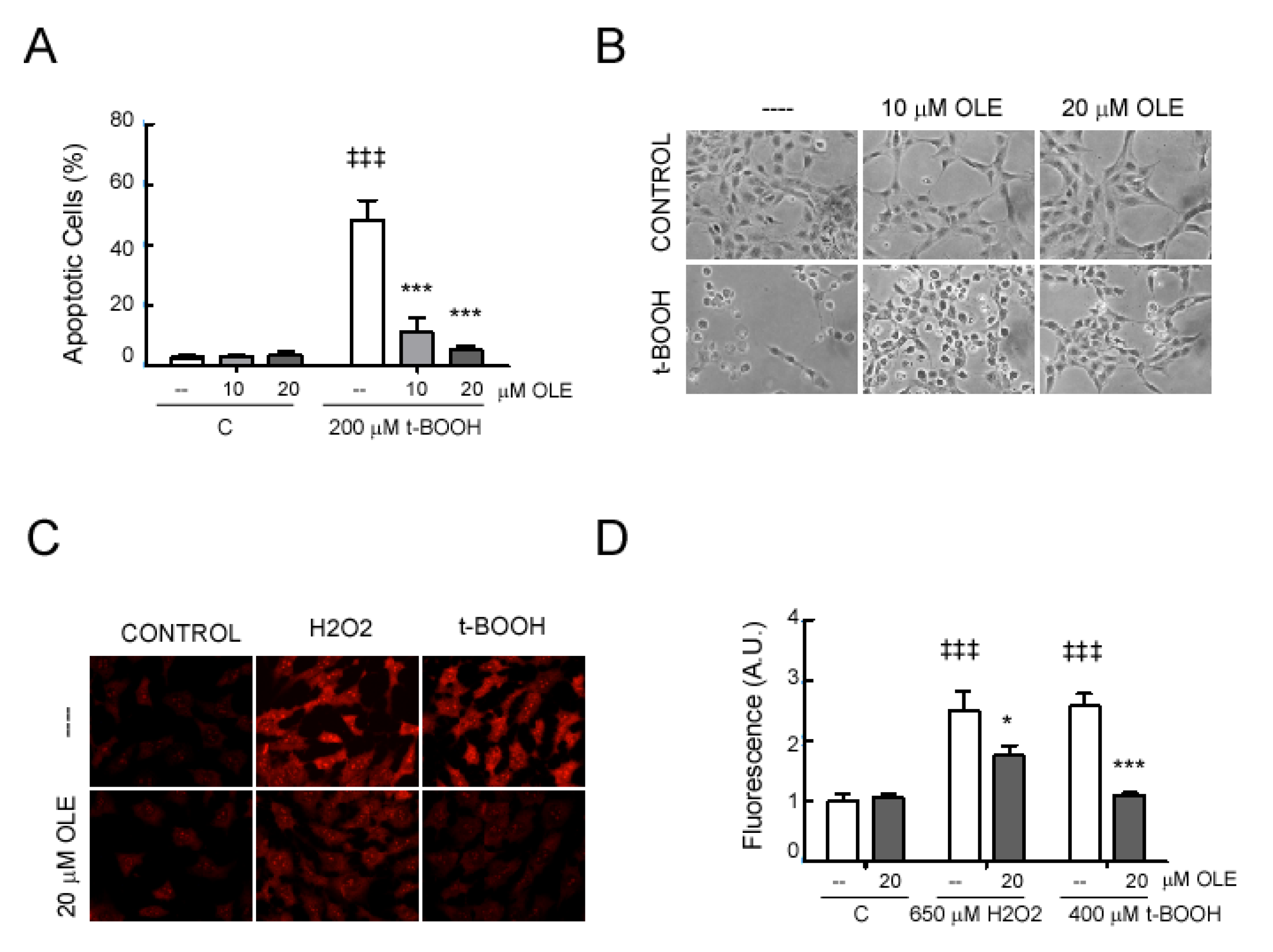 Antioxidants 09 01161 g007