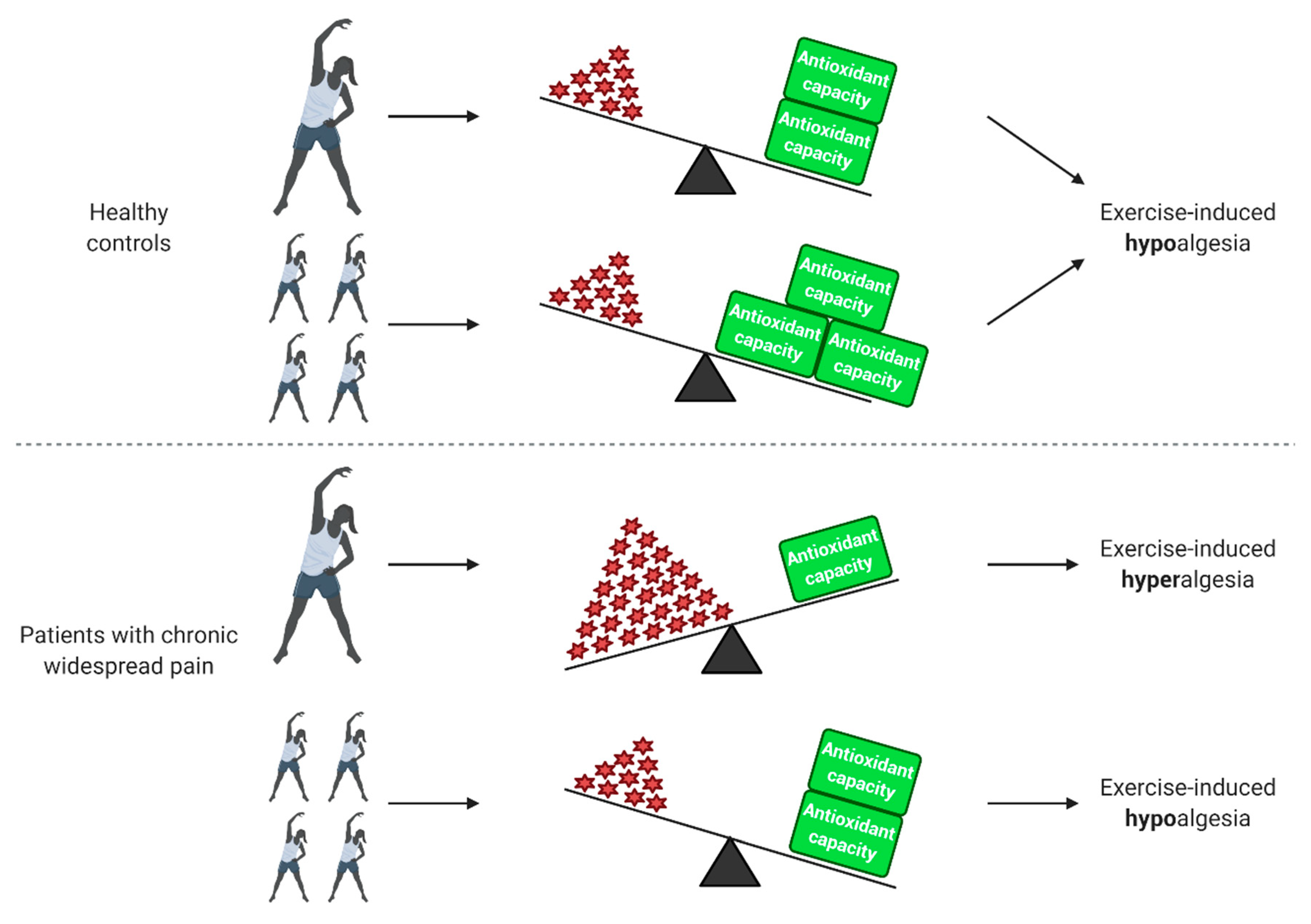 Antioxidants 09 01166 g001 Antioxidants 09 01166 g001