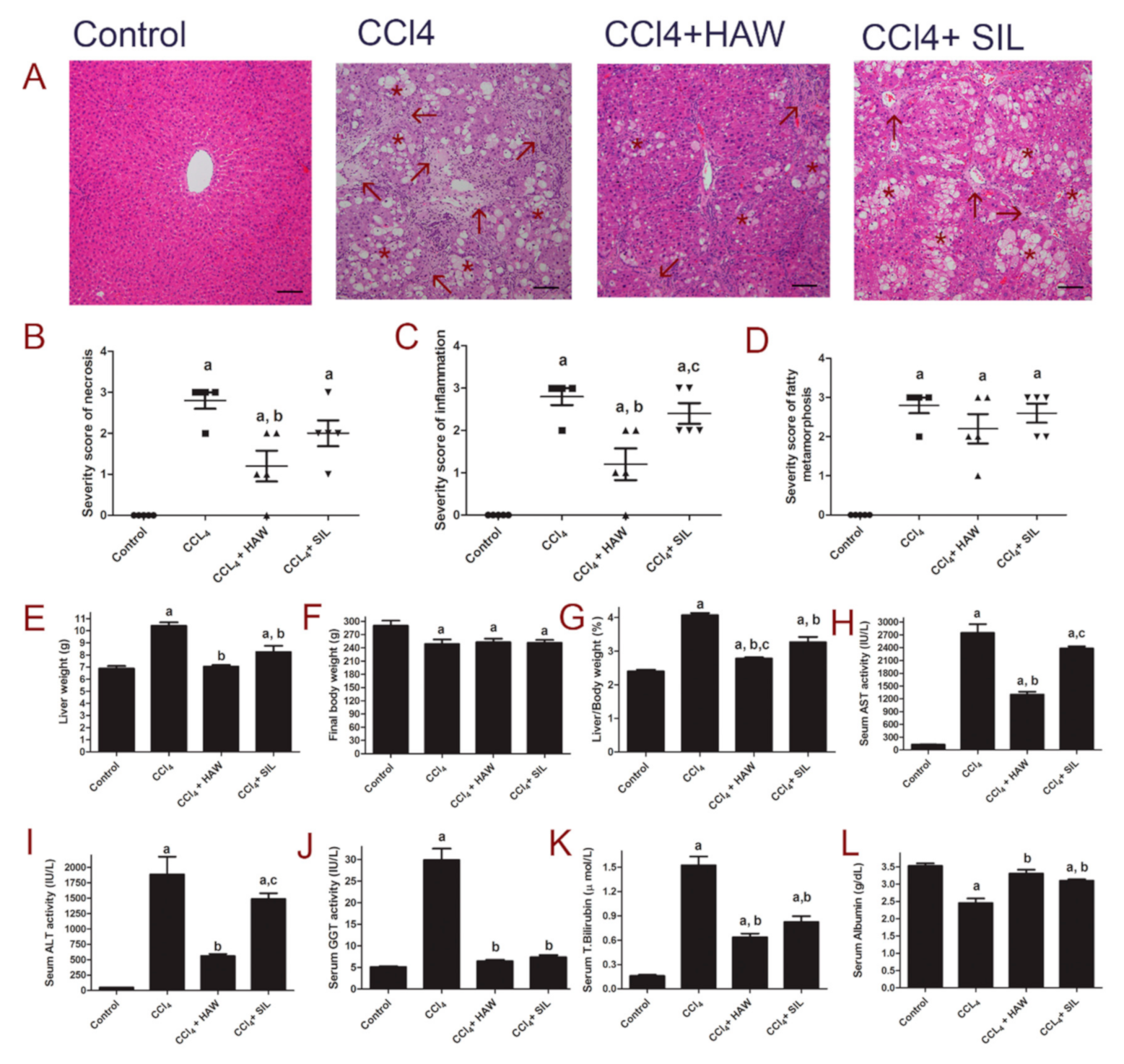 Antioxidants 09 01173 g001