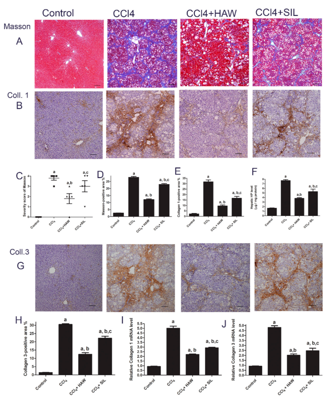 Antioxidants 09 01173 g002