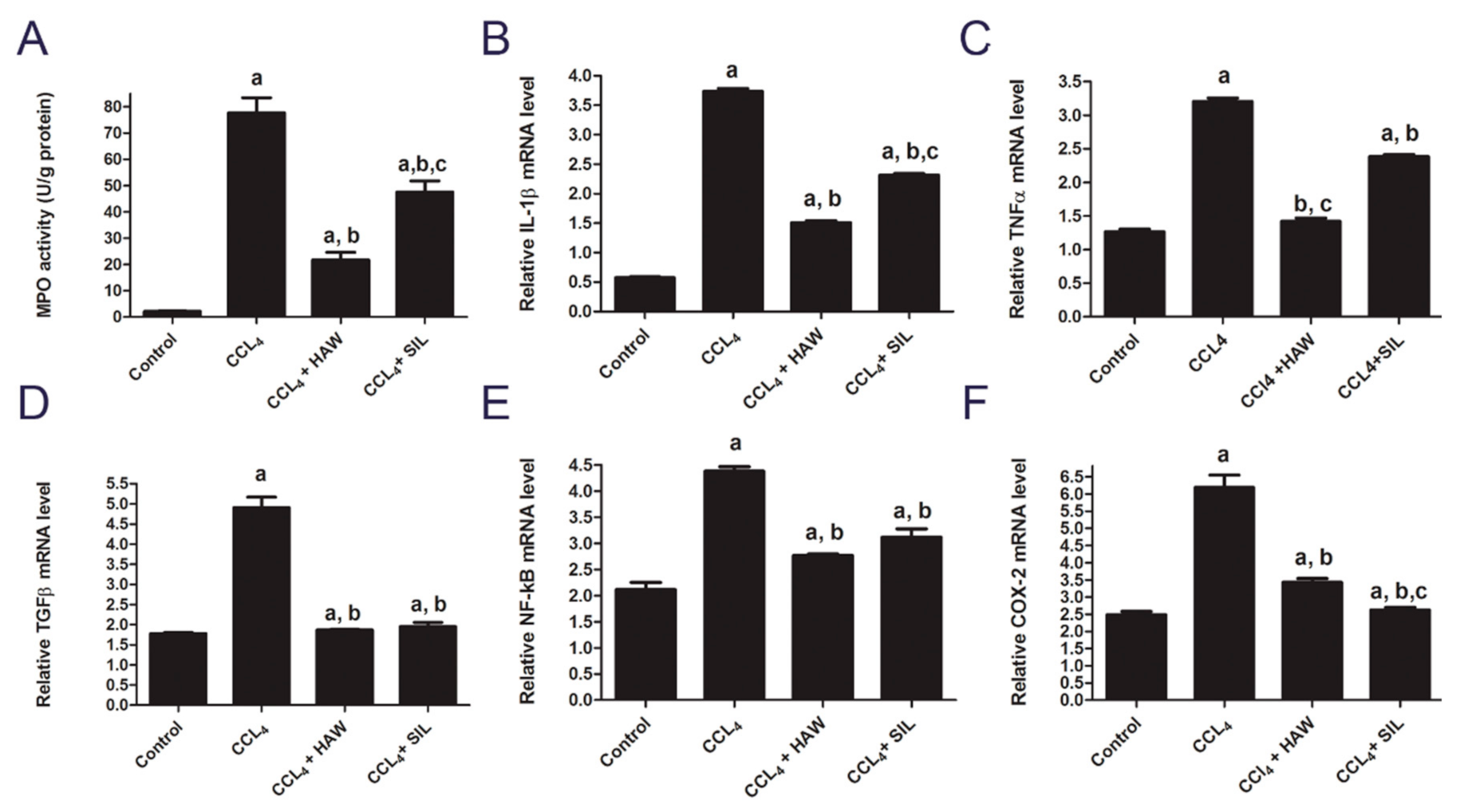 Antioxidants 09 01173 g004