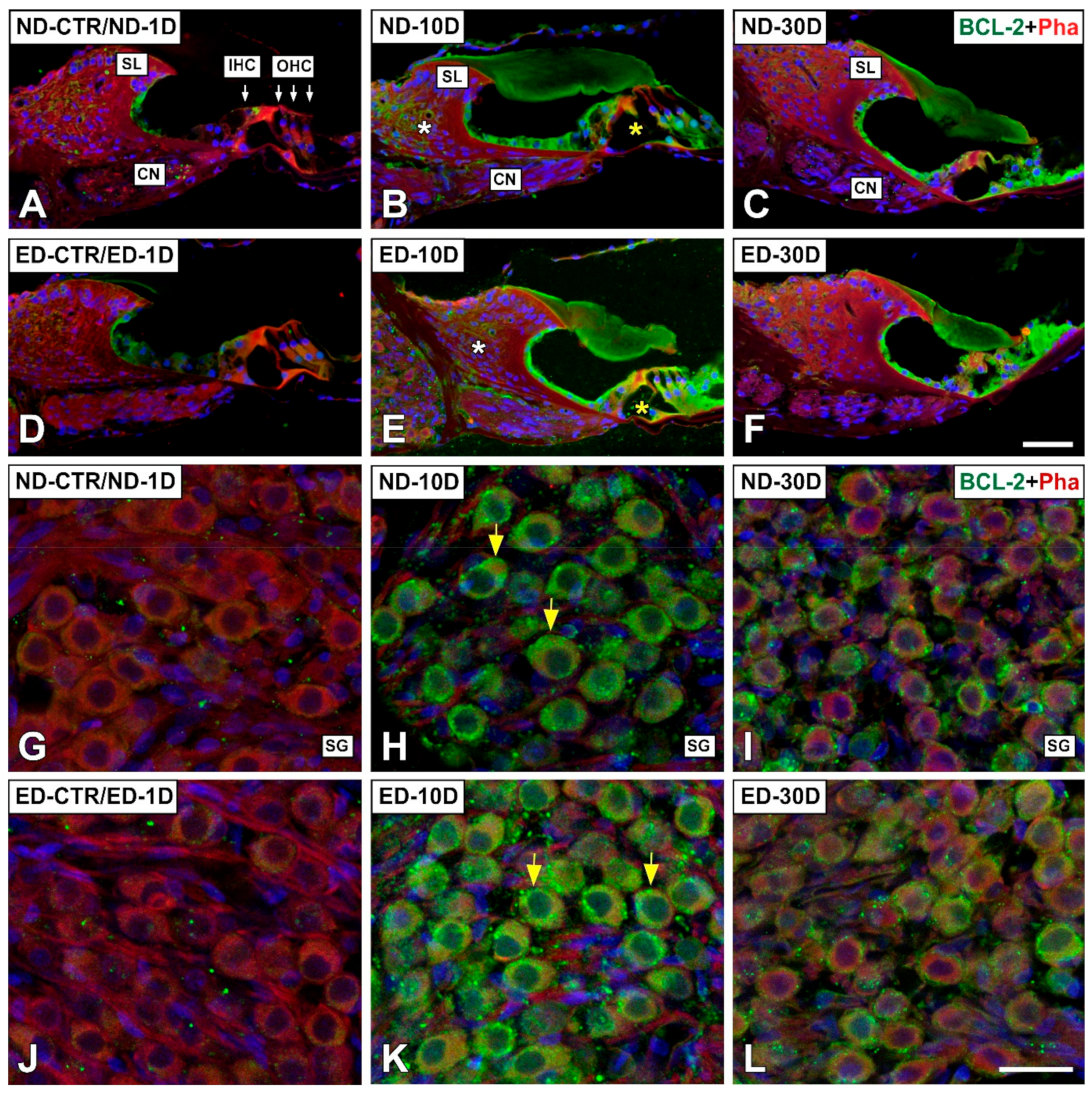 Antioxidants 09 01177 g011 Antioxidants 09 01177 g011