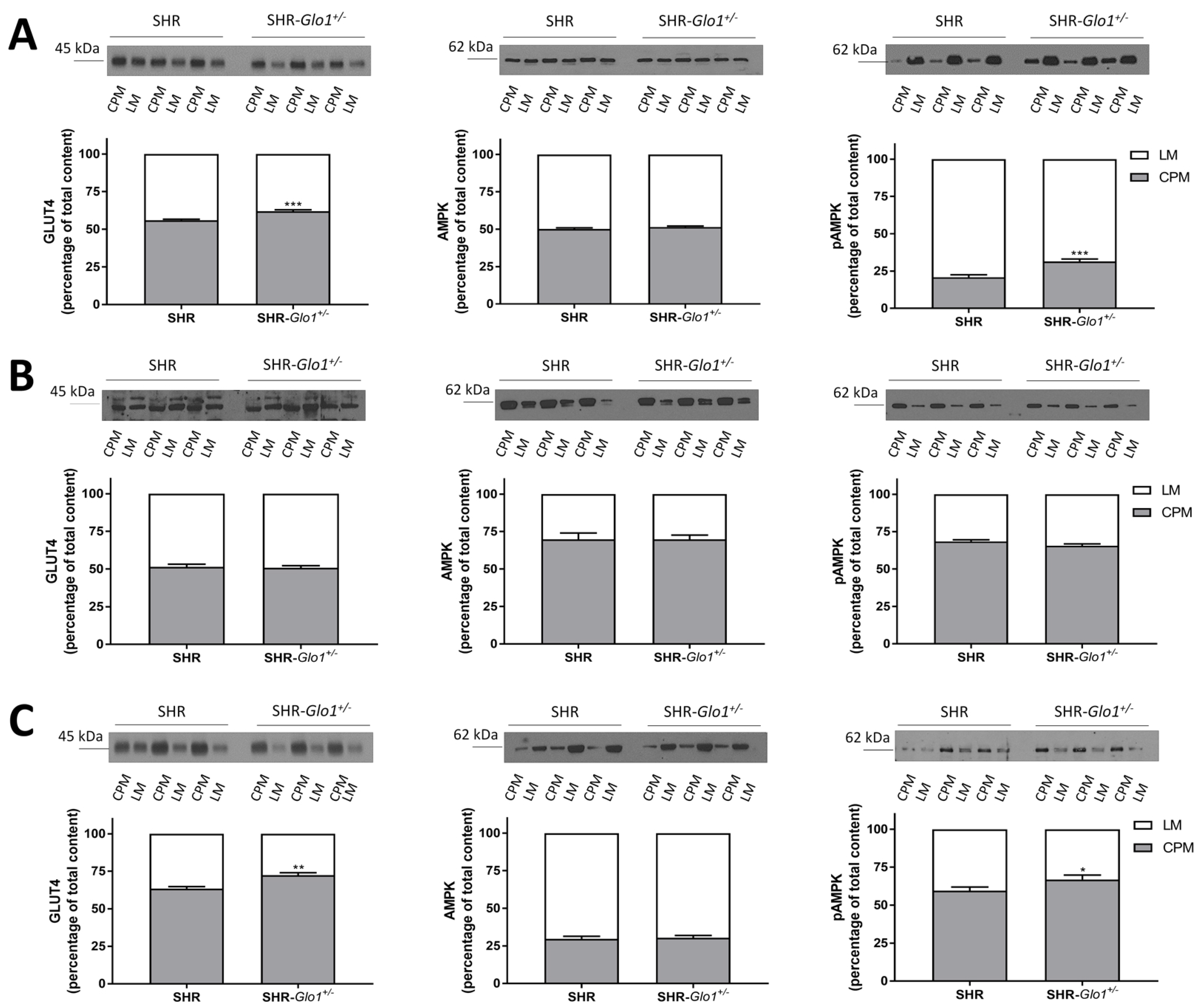 Antioxidants 09 01179 g003