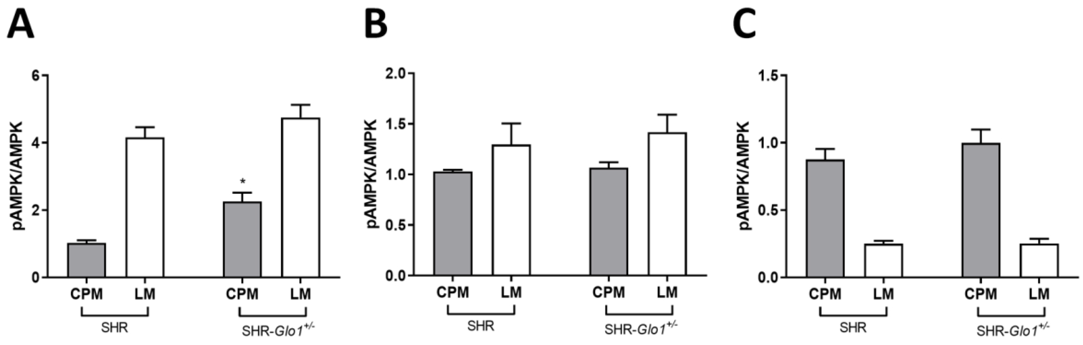 Antioxidants 09 01179 g004