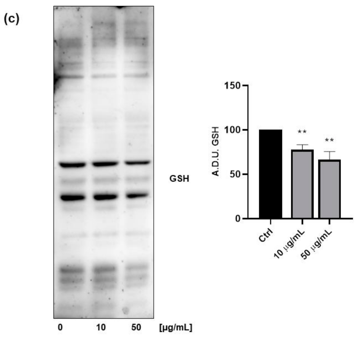 Antioxidants 09 01181 g003b
