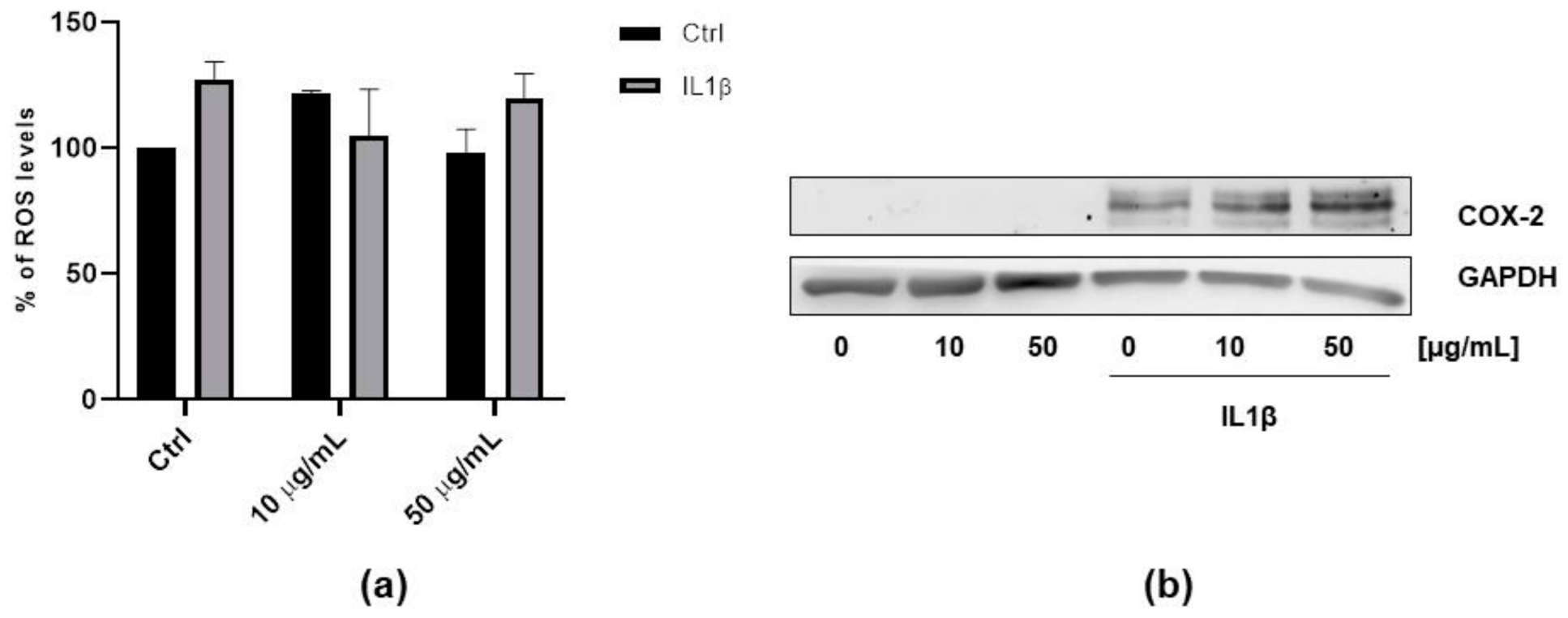 Antioxidants 09 01181 g005