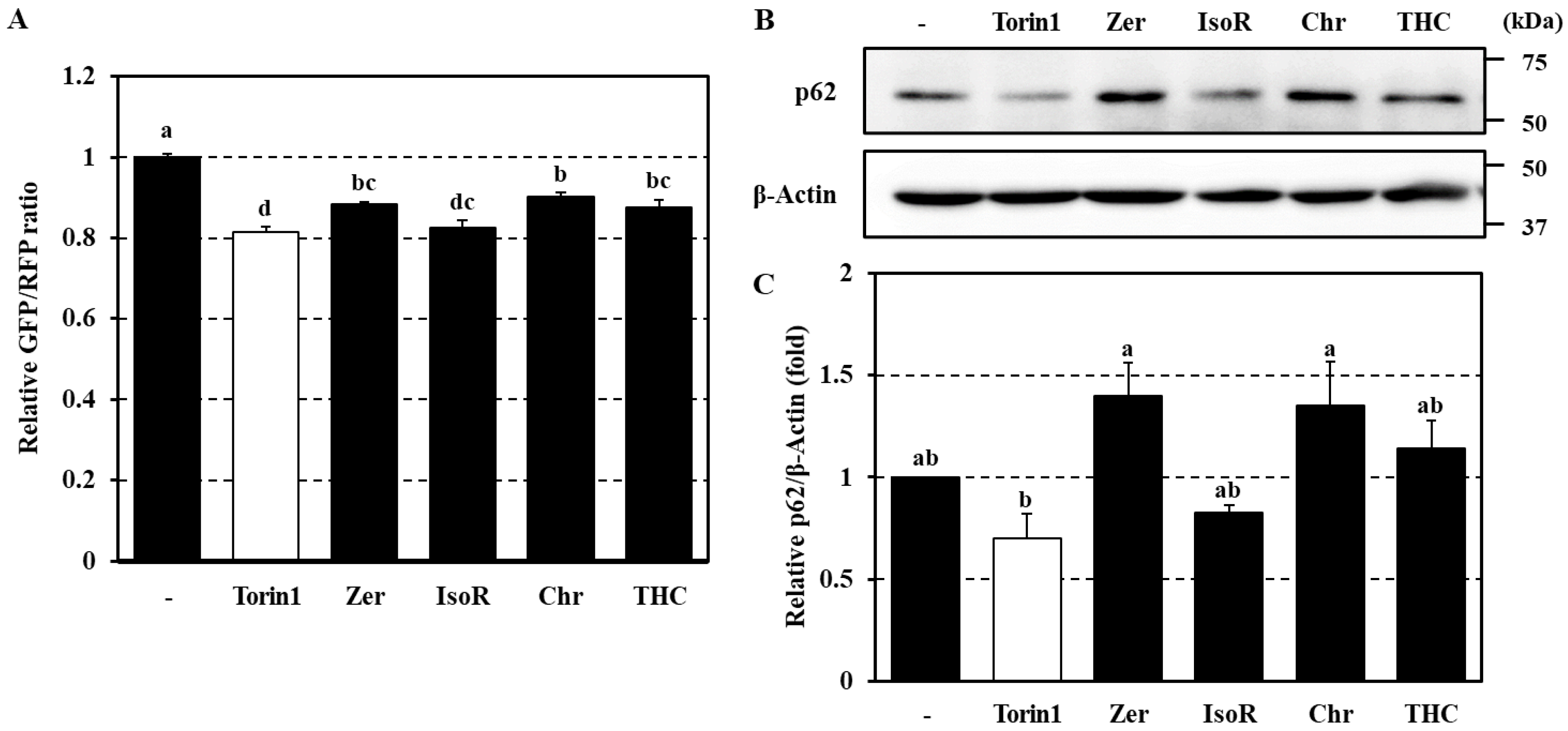 Antioxidants 09 01193 g005 Antioxidants 09 01193 g005