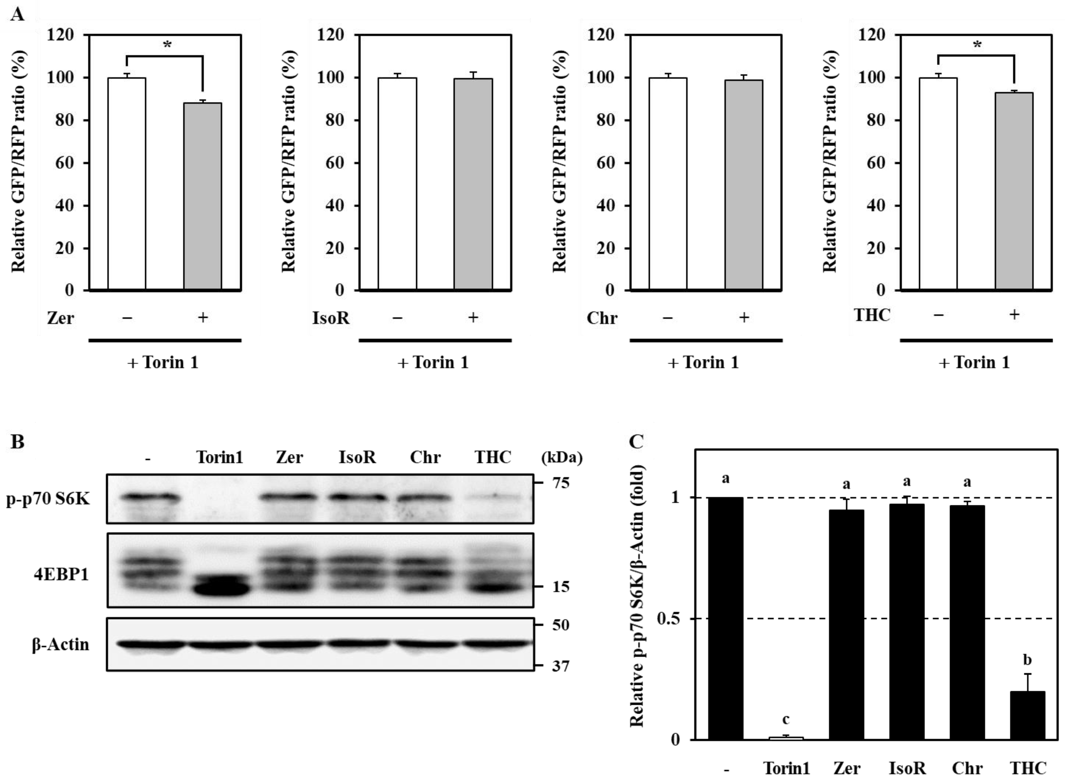 Antioxidants 09 01193 g006 Antioxidants 09 01193 g006
