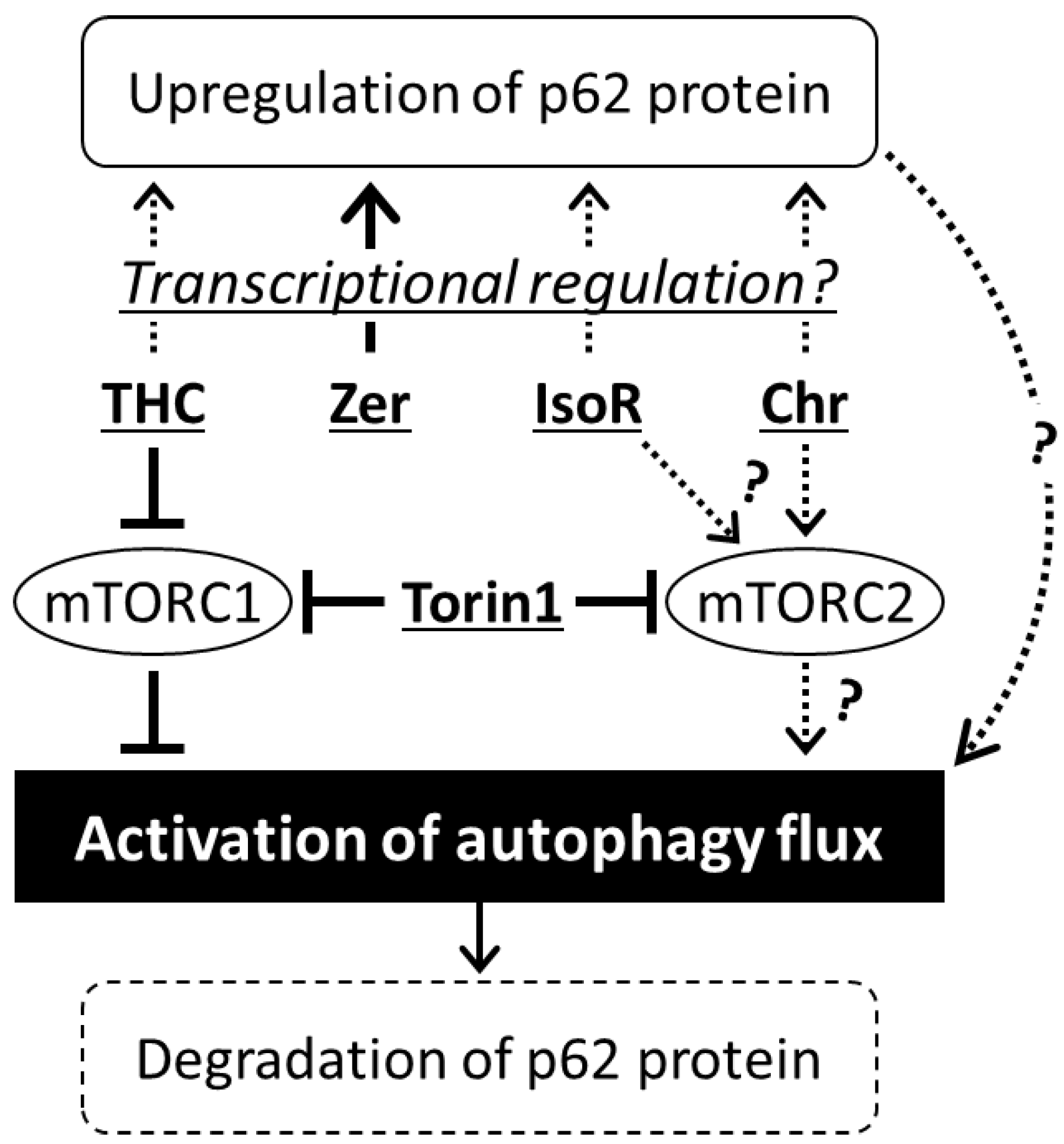 Antioxidants 09 01193 g007 Antioxidants 09 01193 g007