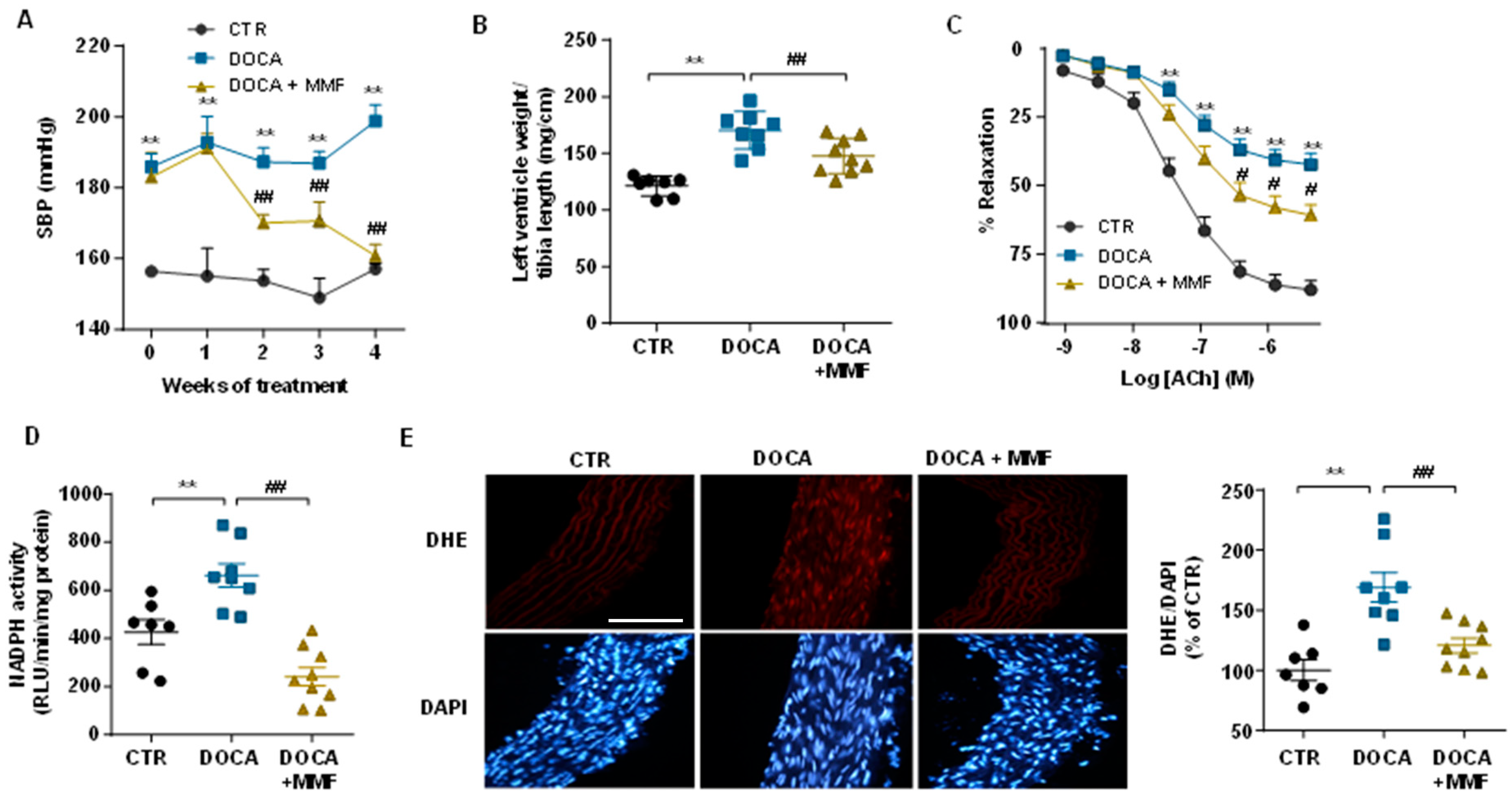 Antioxidants 09 01199 g005