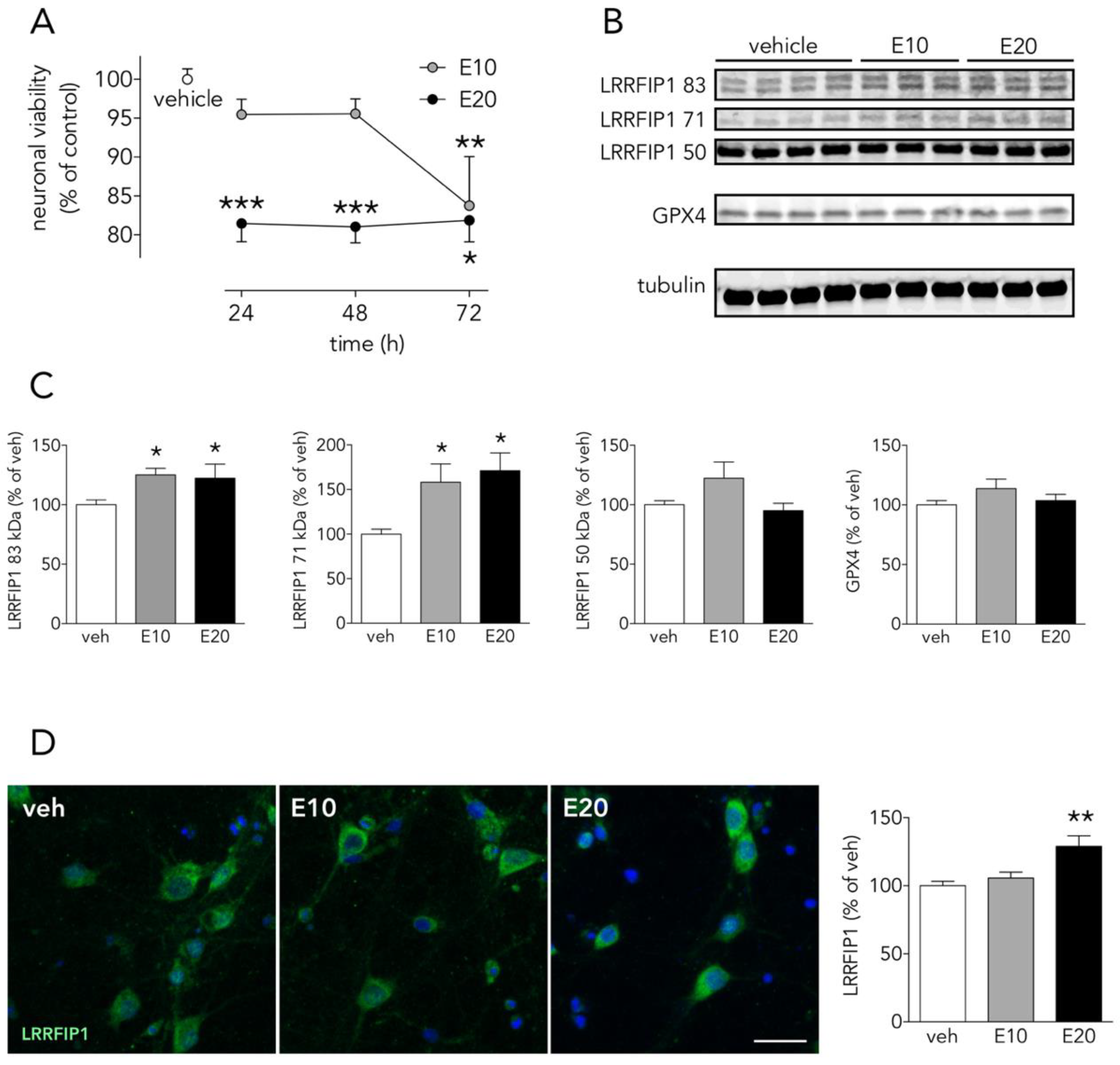 Antioxidants 09 01202 g008 Antioxidants 09 01202 g008