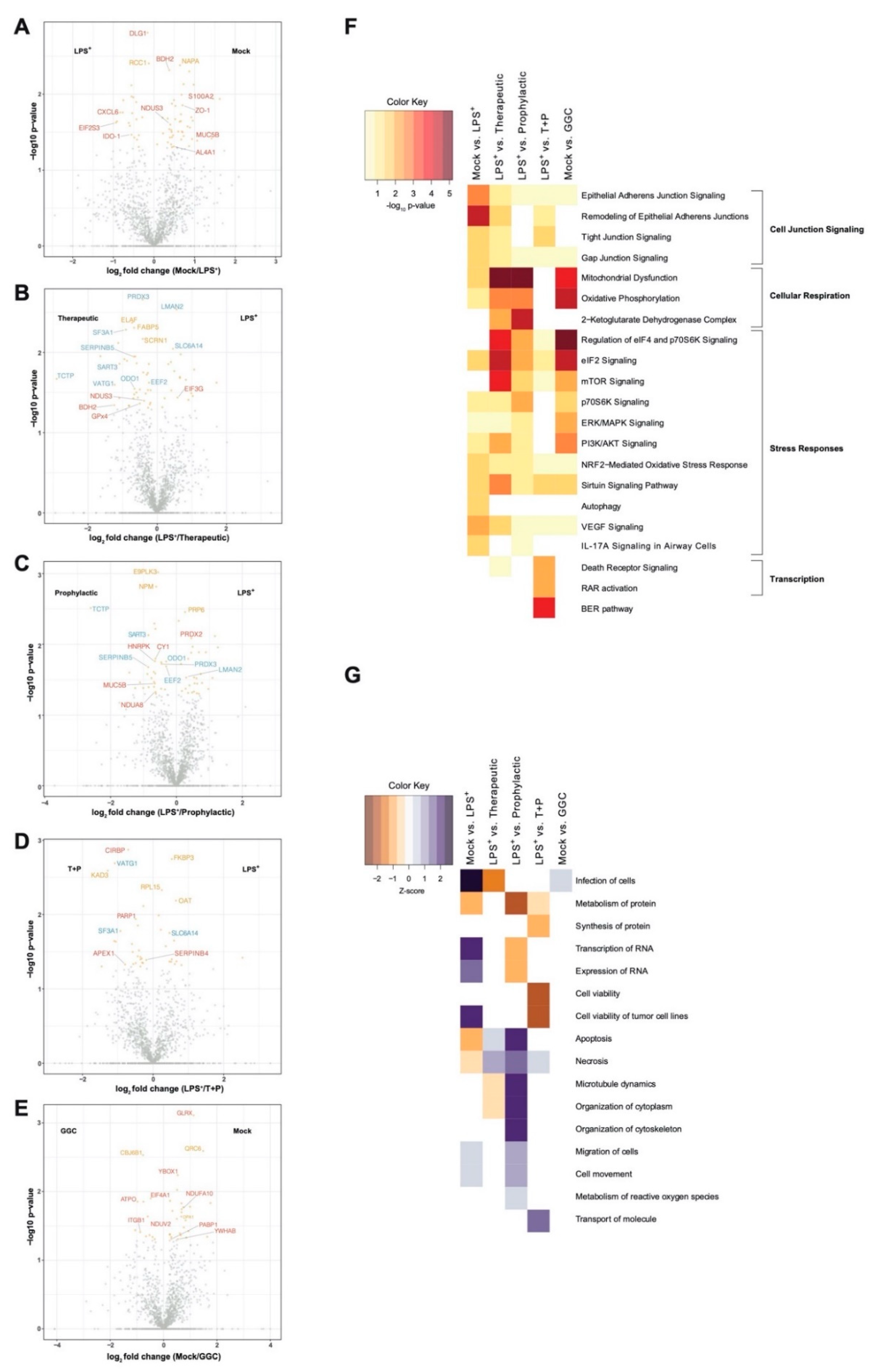 Antioxidants 09 01204 g002