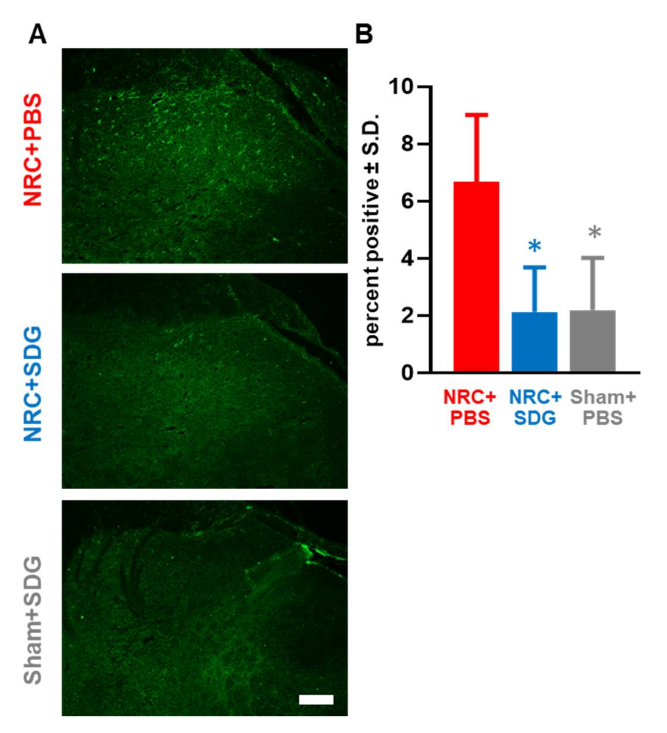 Antioxidants 09 01209 g005 Antioxidants 09 01209 g005