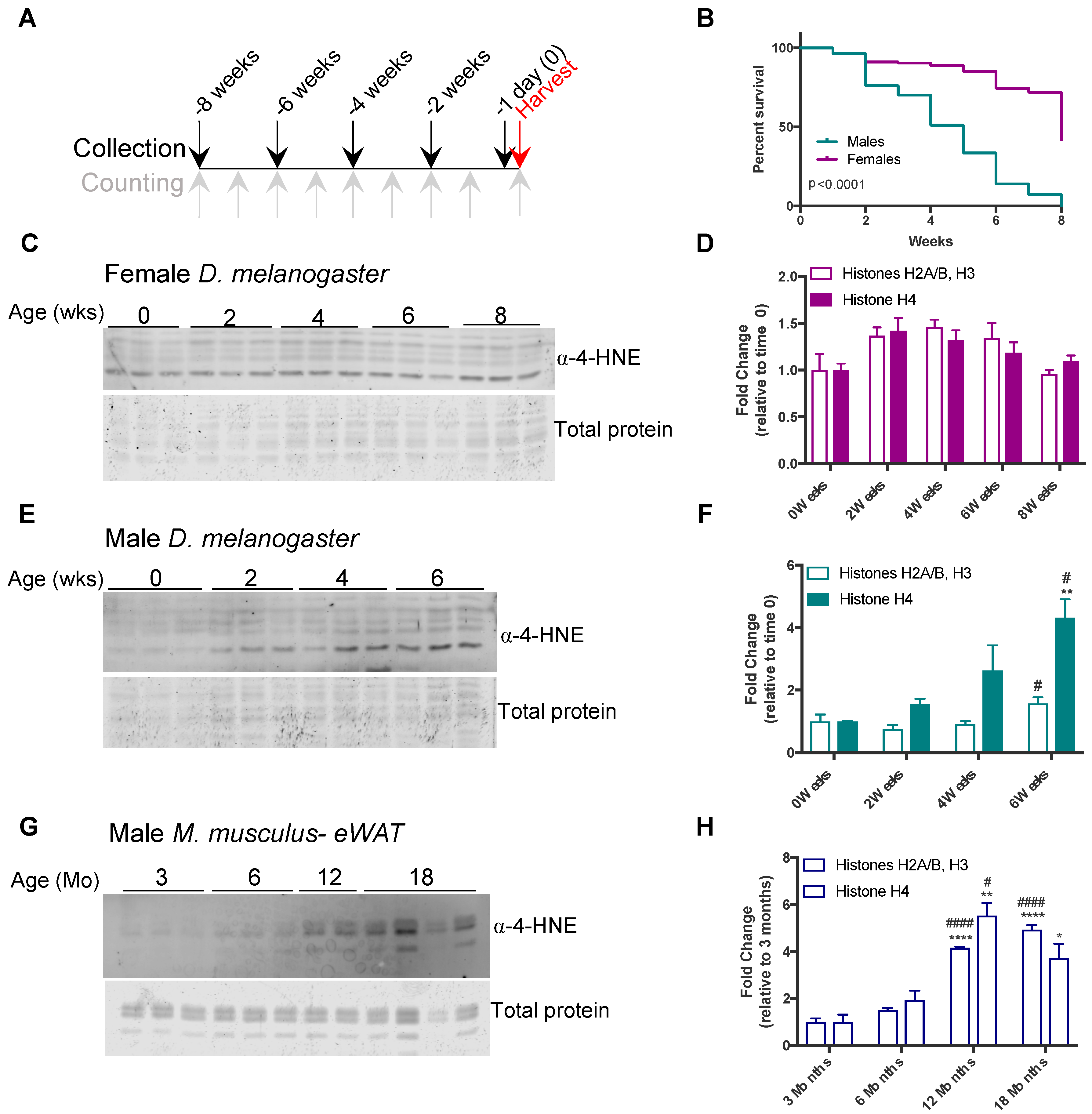 Antioxidants 09 01210 g002 Antioxidants 09 01210 g002