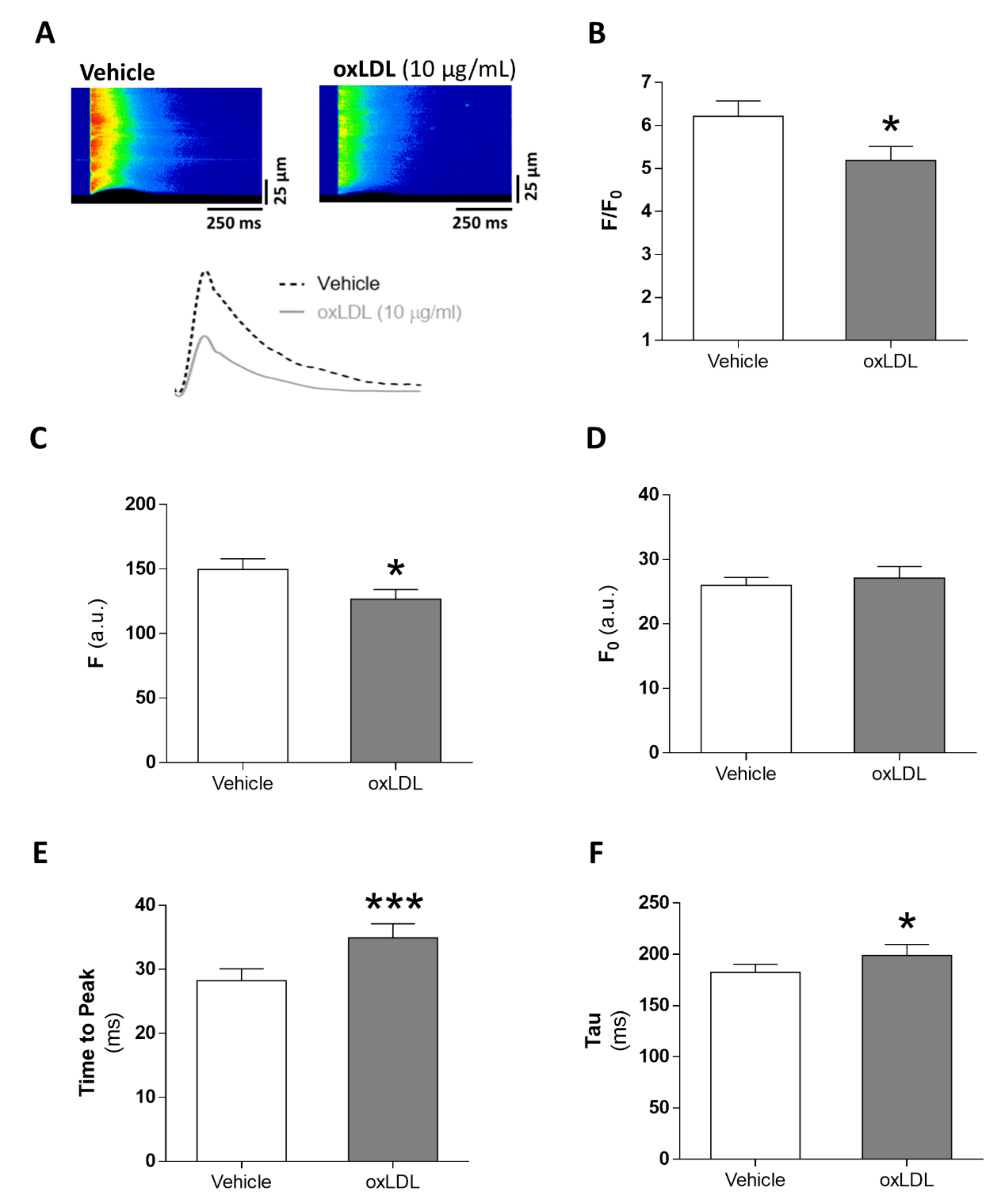 Antioxidants 09 01213 g002 Antioxidants 09 01213 g002