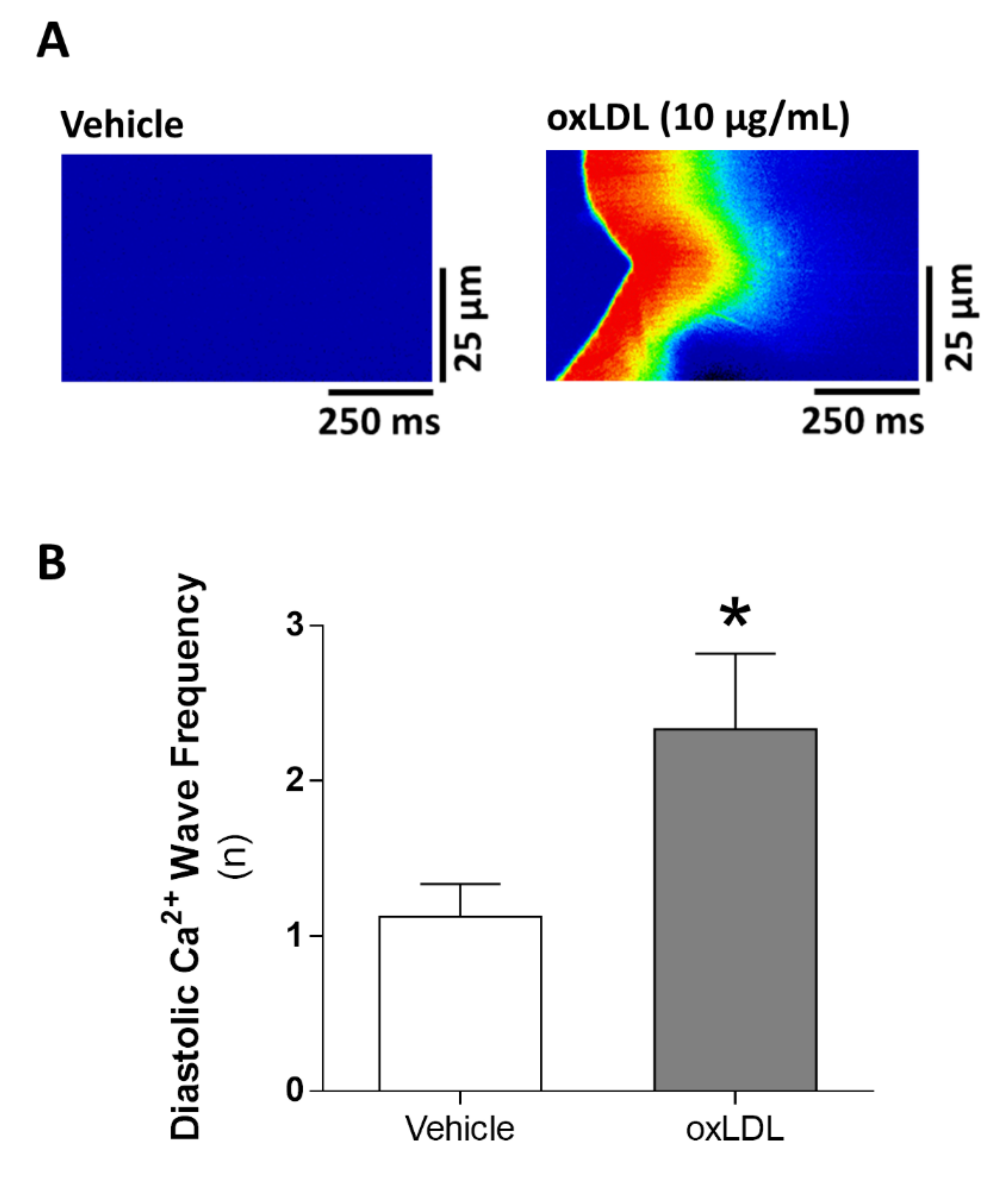 Antioxidants 09 01213 g005 Antioxidants 09 01213 g005