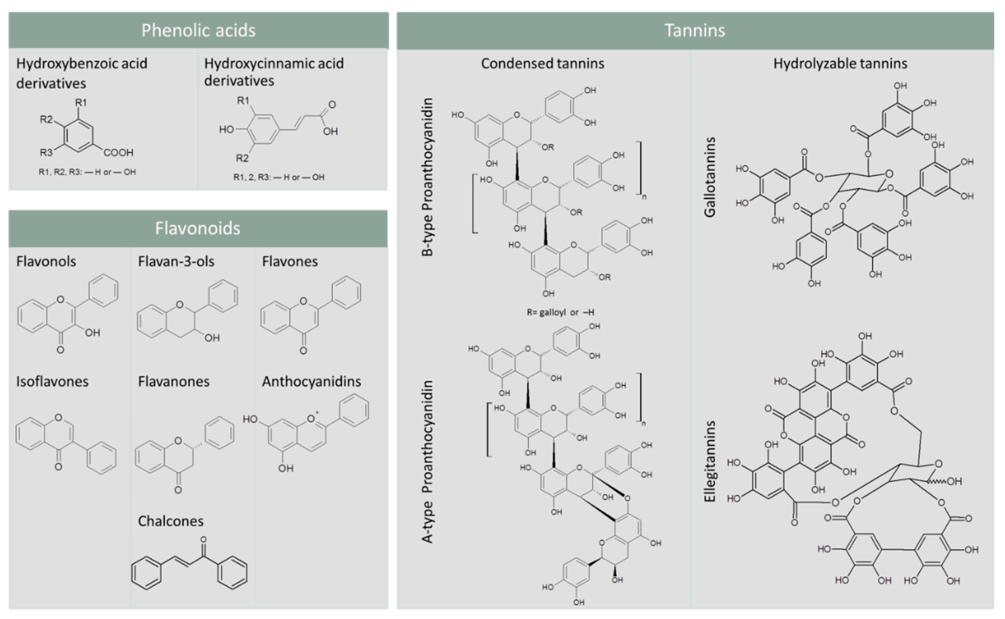 Antioxidants 09 01216 g001 Antioxidants 09 01216 g001