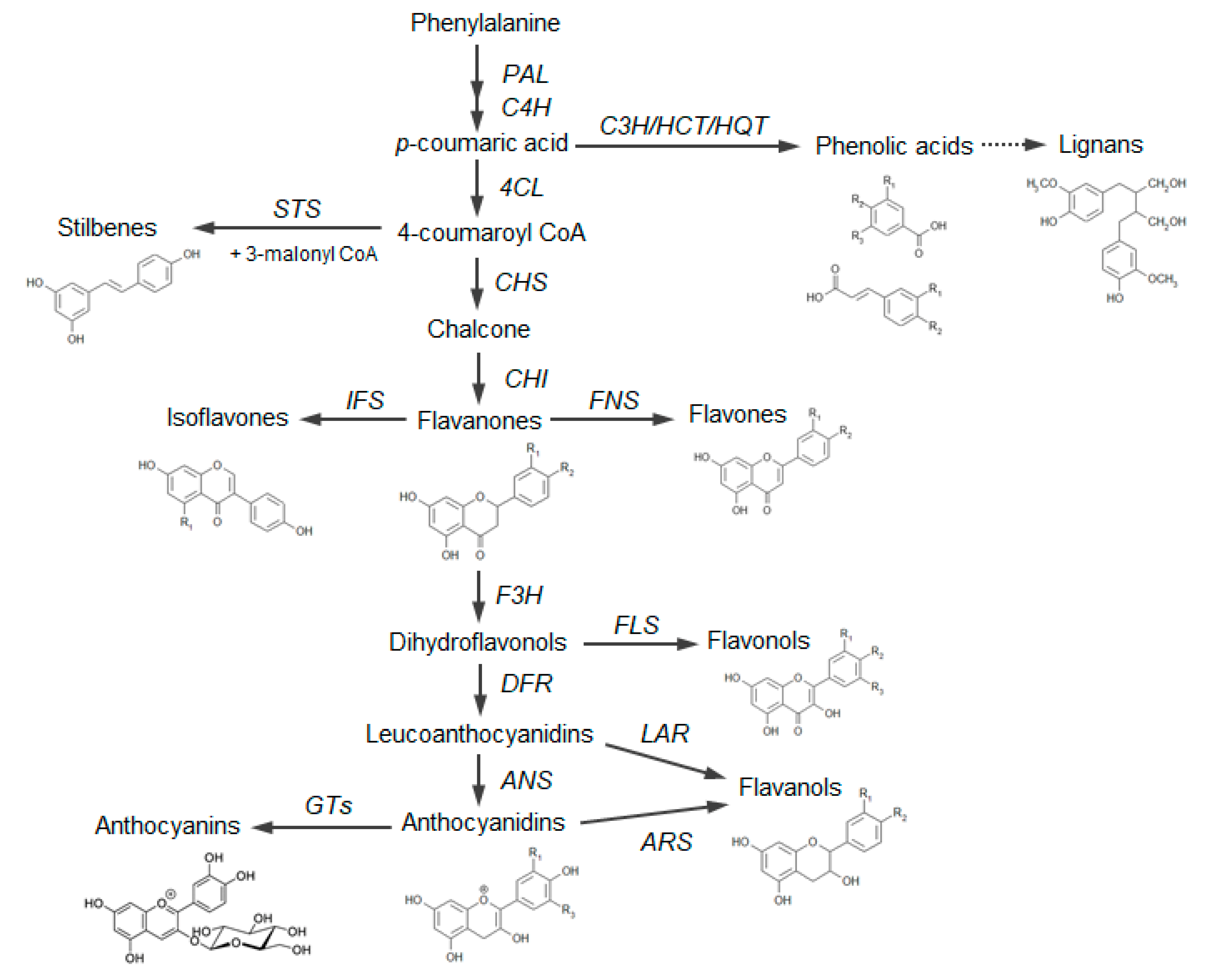 Antioxidants 09 01225 g001 Antioxidants 09 01225 g001