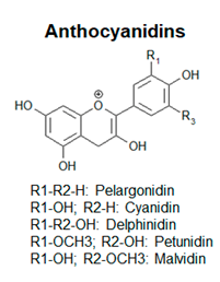Antioxidants 09 01225 i003 Antioxidants 09 01225 i003