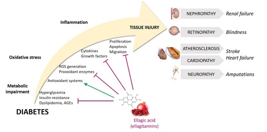 Antioxidants Free Full Text Ellagic Acid As A Tool To Limit The Diabetes Burden Updated Evidence Html