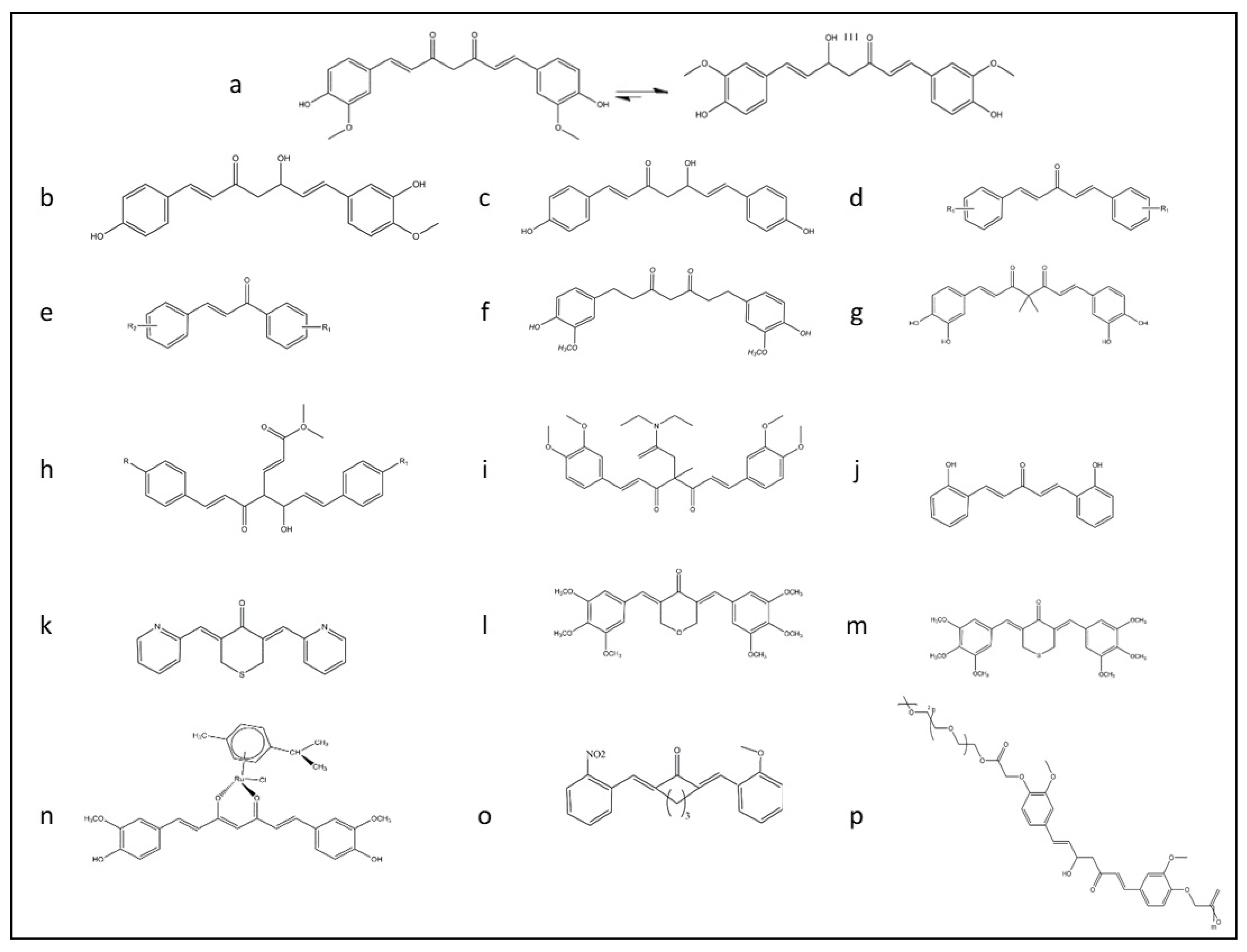 Antioxidants 09 01228 g001 Antioxidants 09 01228 g001