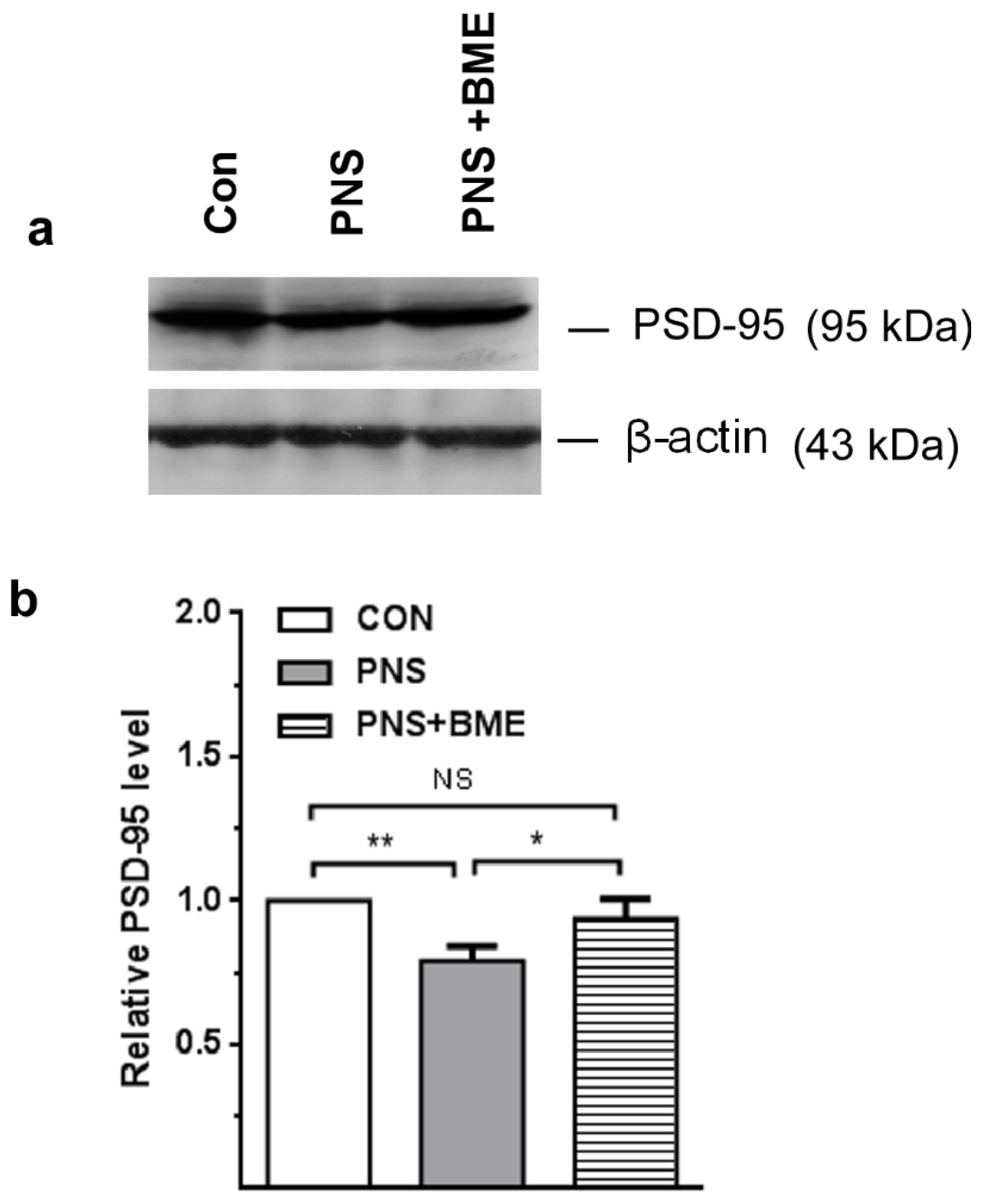 Antioxidants Free FullText Standardized Bacopa monnieri Extract