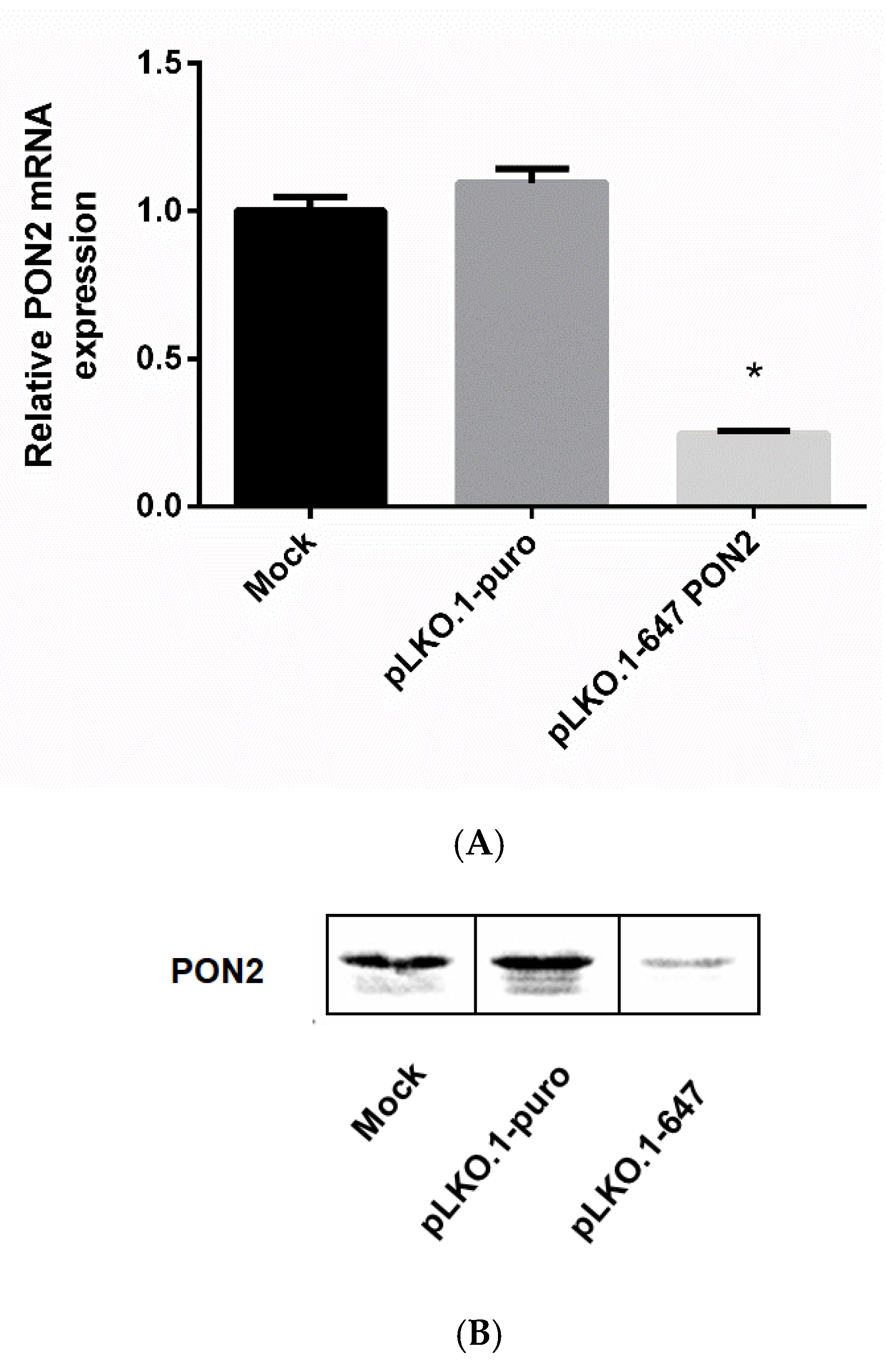Antioxidants 09 01238 g001a
