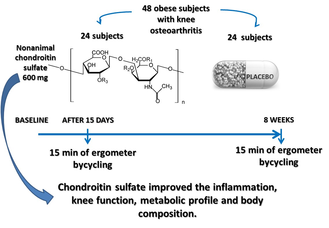 Antioxidants Free FullText Short and LongTerm Effectiveness of
