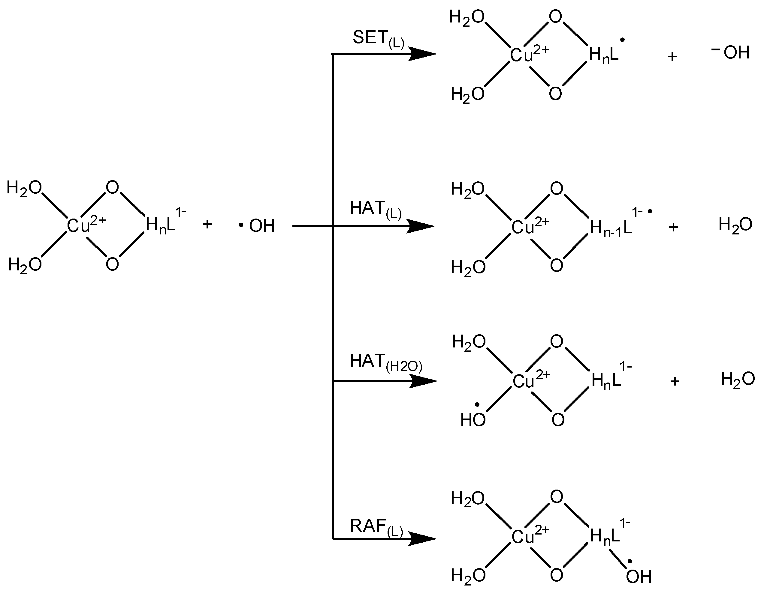 Antioxidants 09 01247 sch001 Antioxidants 09 01247 sch001