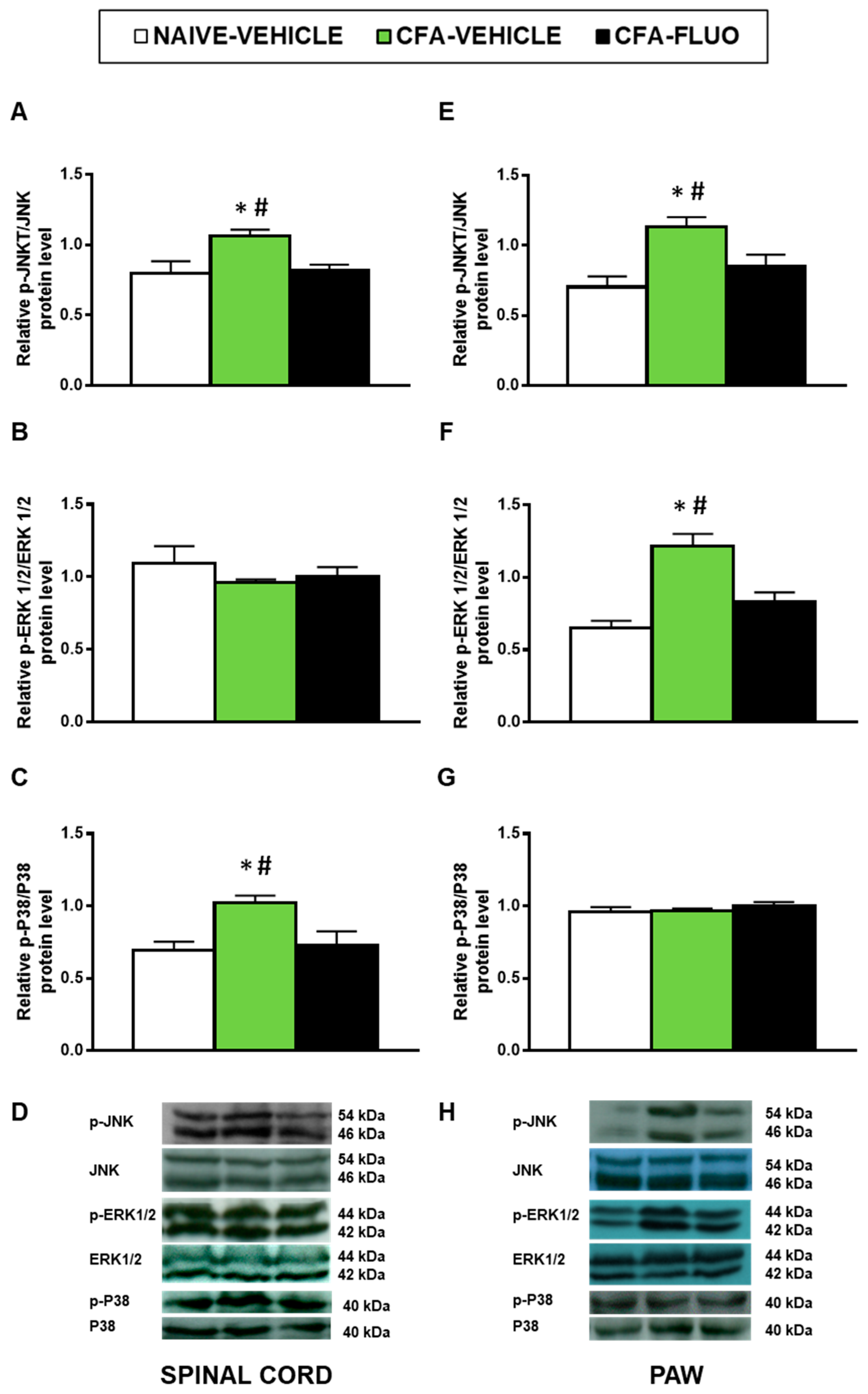Antioxidants 09 01249 g004 Antioxidants 09 01249 g004