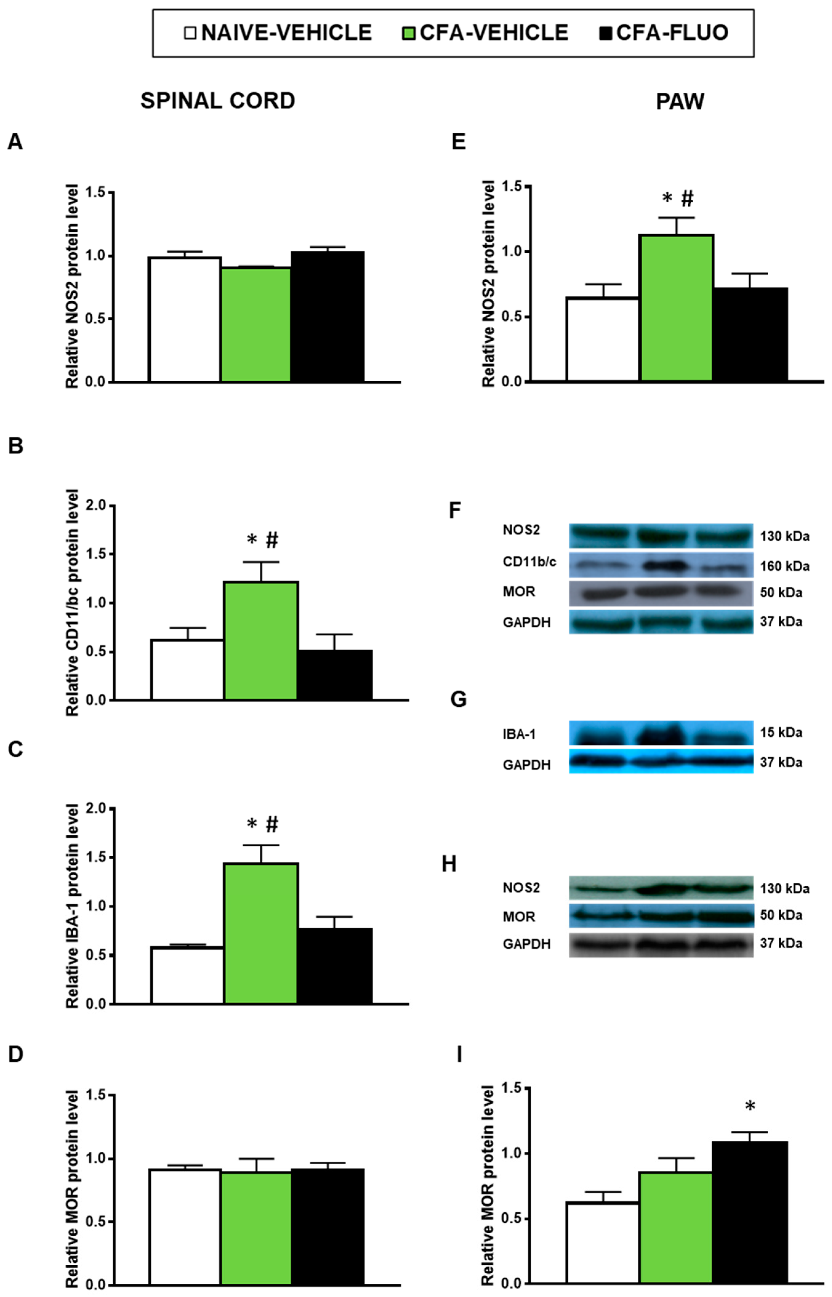 Antioxidants 09 01249 g007 Antioxidants 09 01249 g007