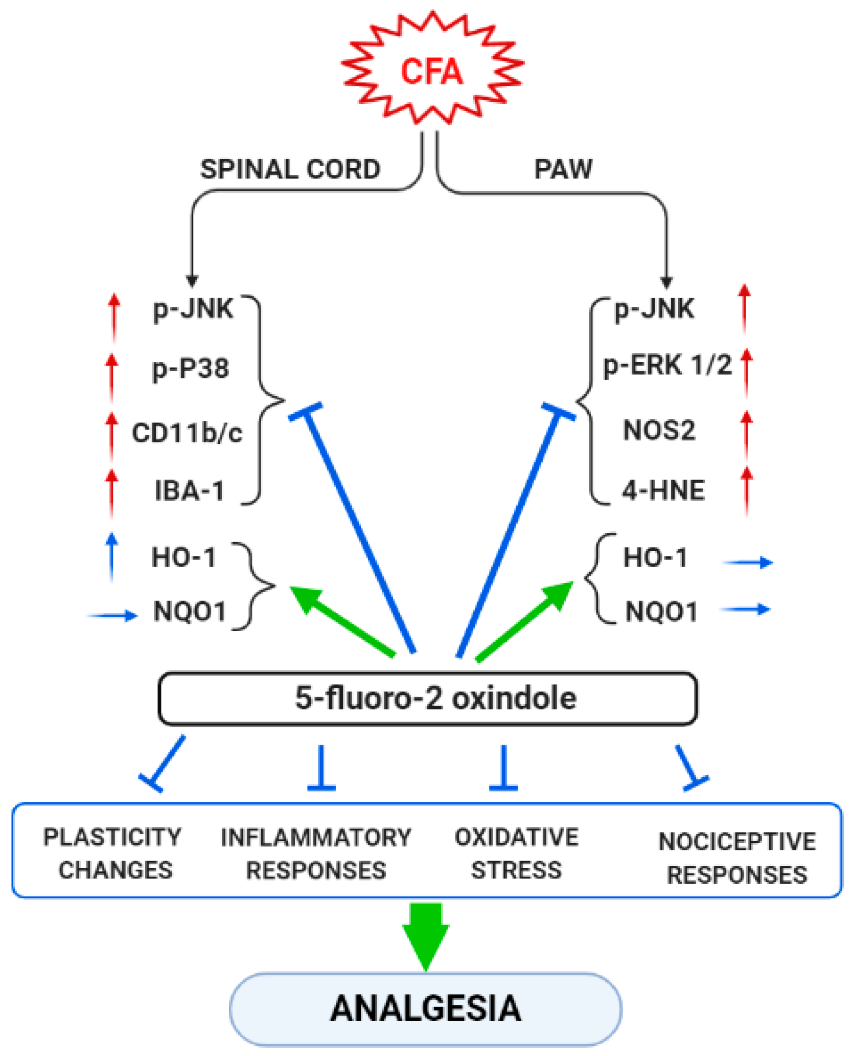 Antioxidants 09 01249 g009 Antioxidants 09 01249 g009