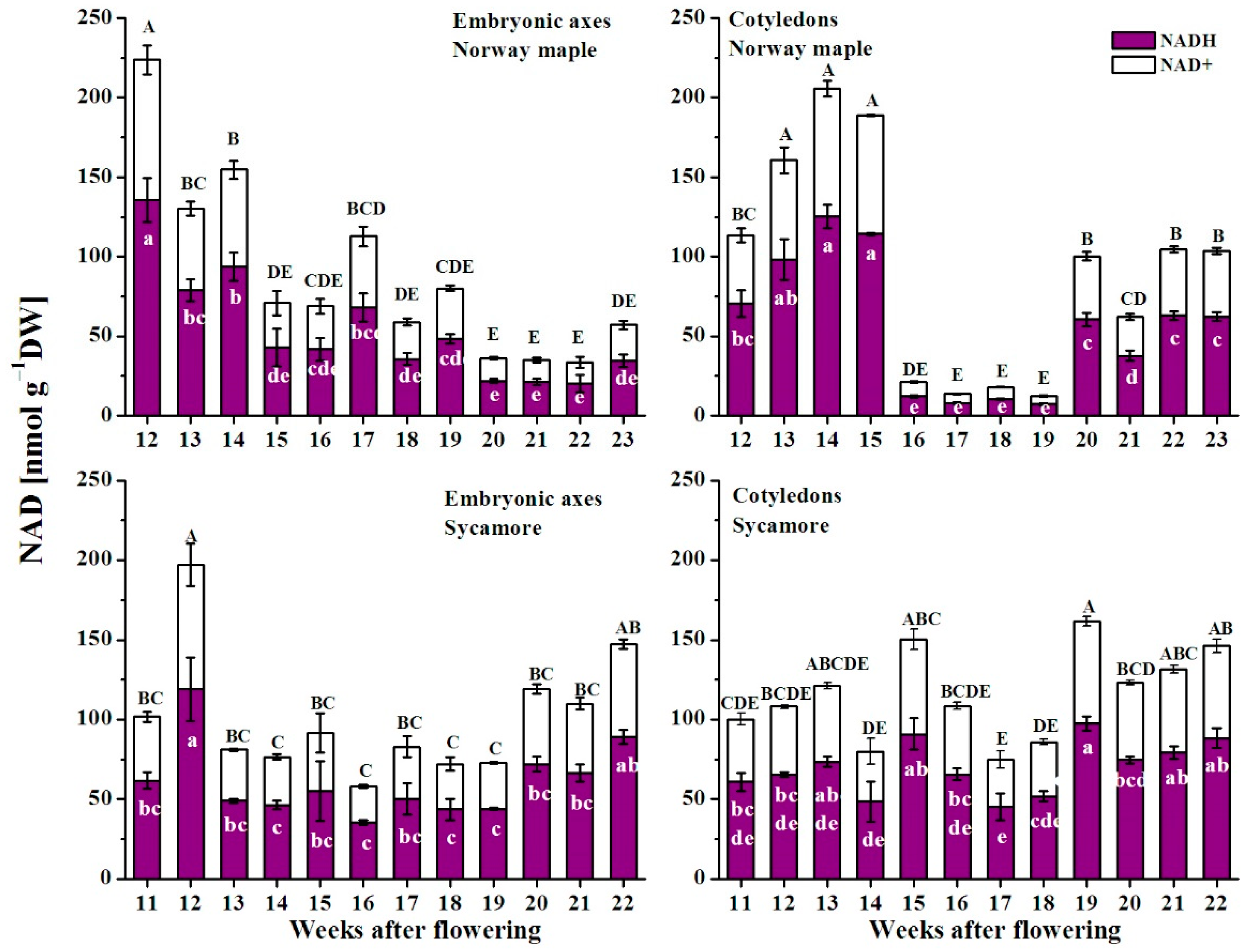 Antioxidants 09 01250 g007 Antioxidants 09 01250 g007
