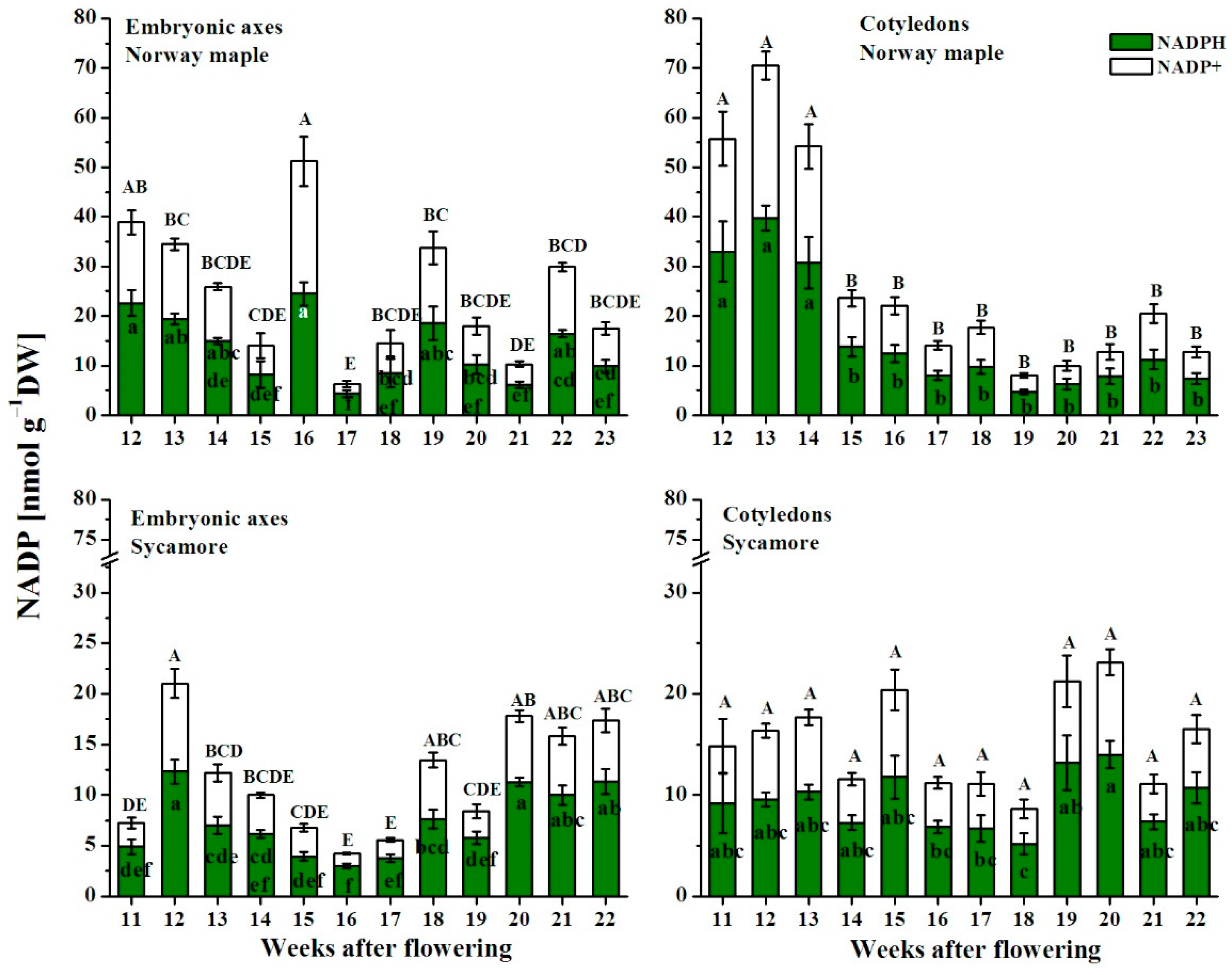 Antioxidants 09 01250 g008 Antioxidants 09 01250 g008
