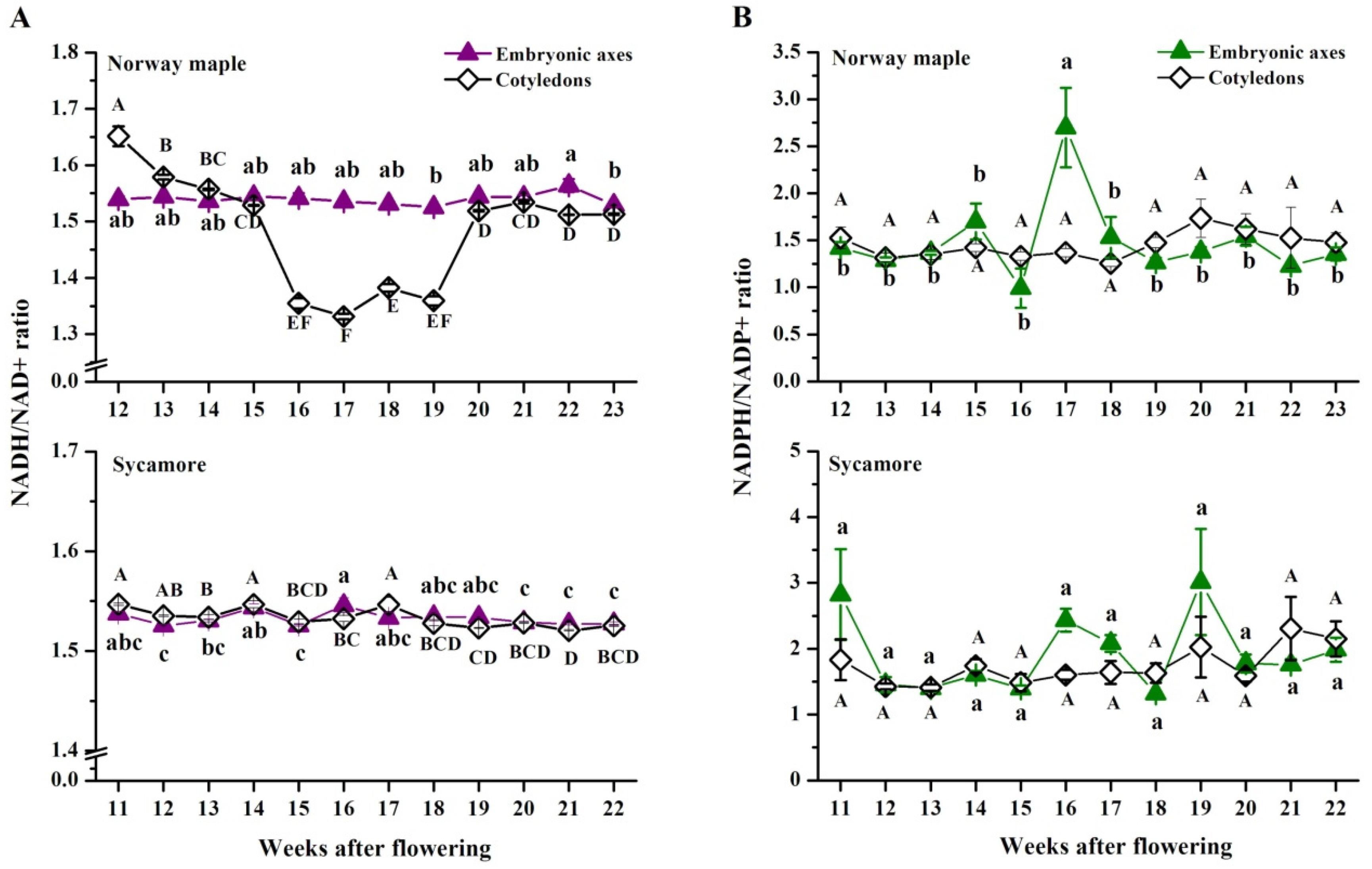 Antioxidants 09 01250 g009 Antioxidants 09 01250 g009