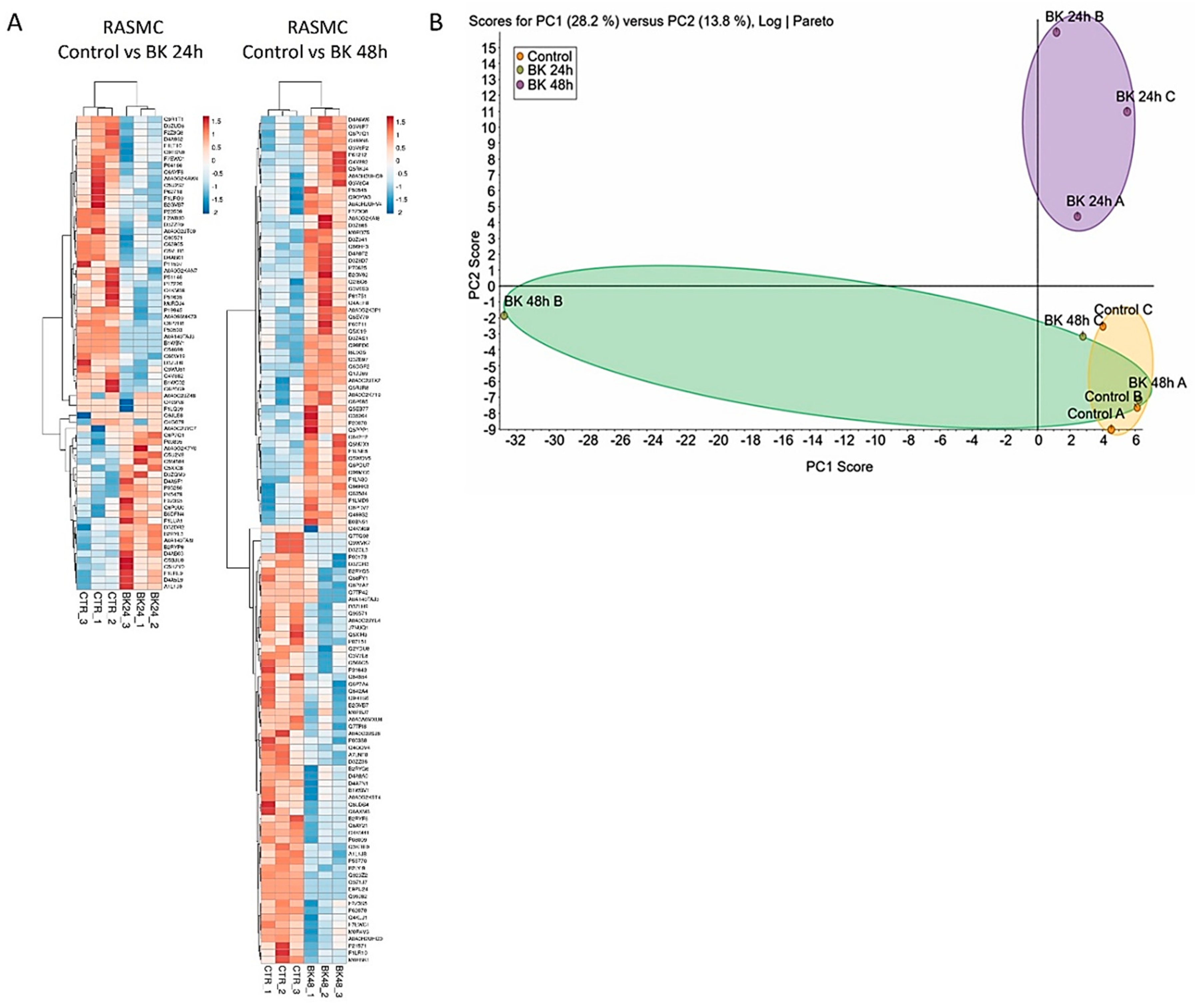 Antioxidants 09 01251 g001 Antioxidants 09 01251 g001