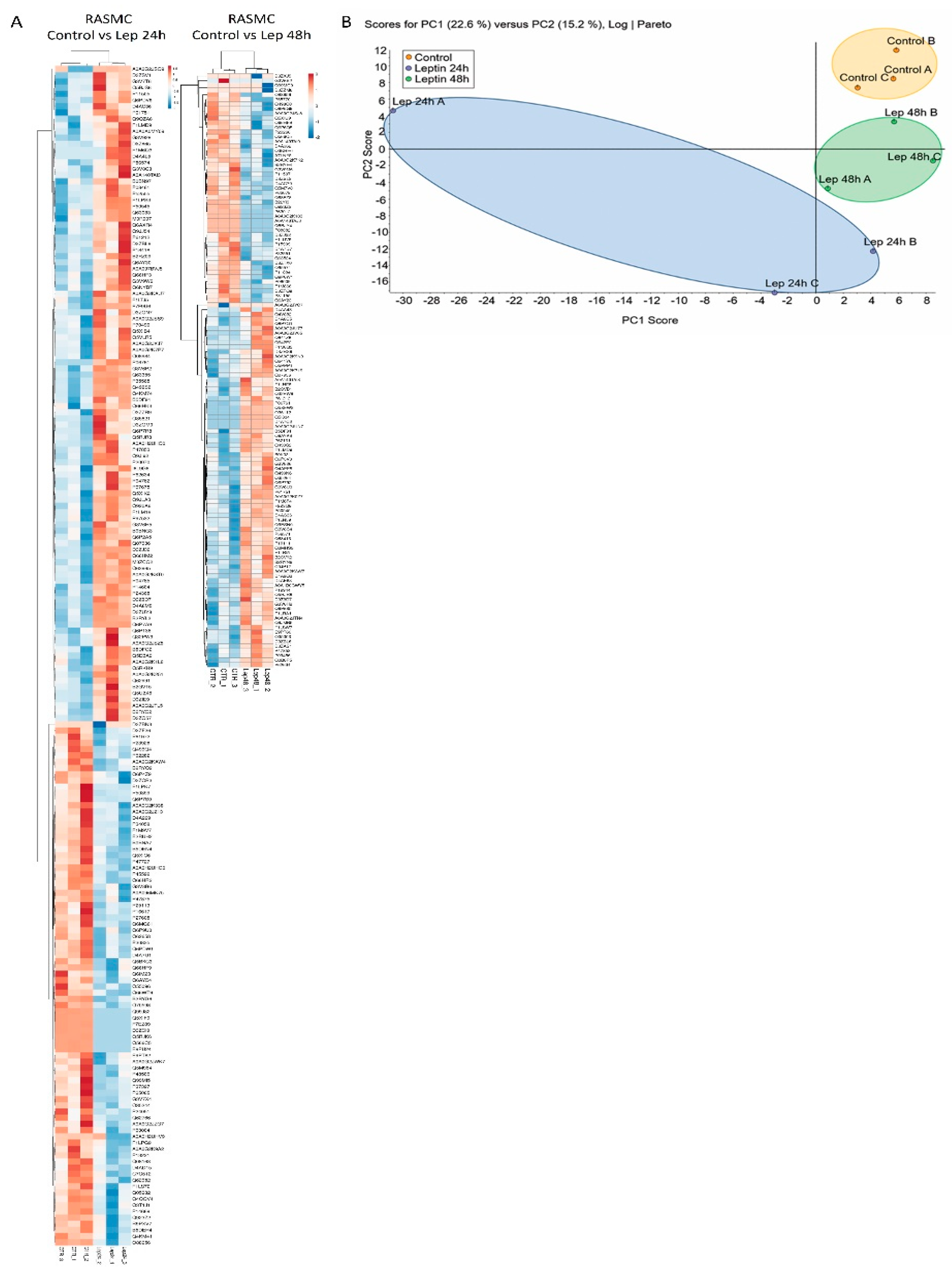 Antioxidants 09 01251 g005 Antioxidants 09 01251 g005