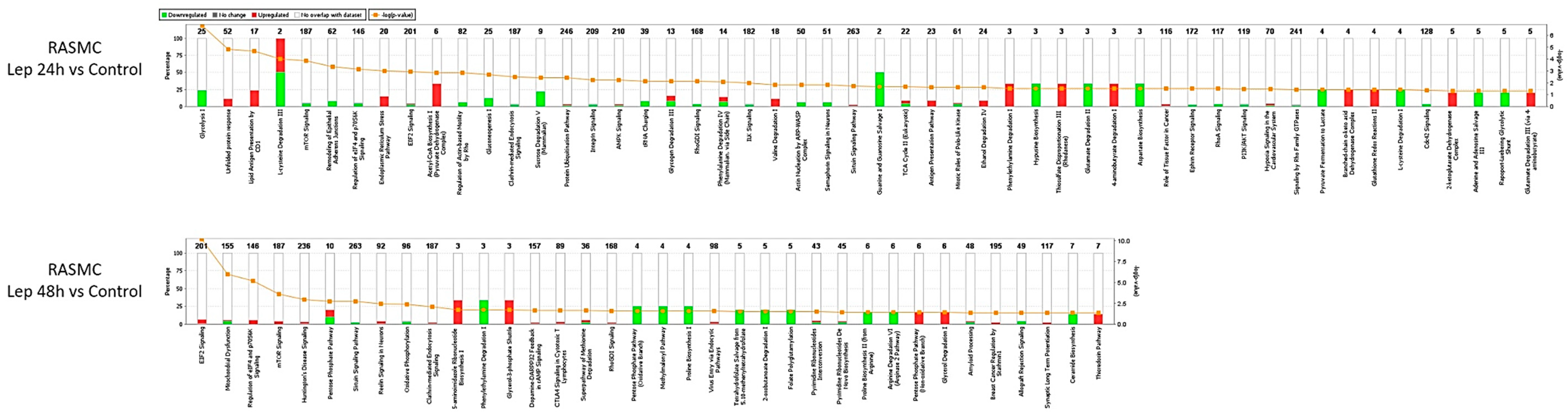 Antioxidants 09 01251 g006 Antioxidants 09 01251 g006