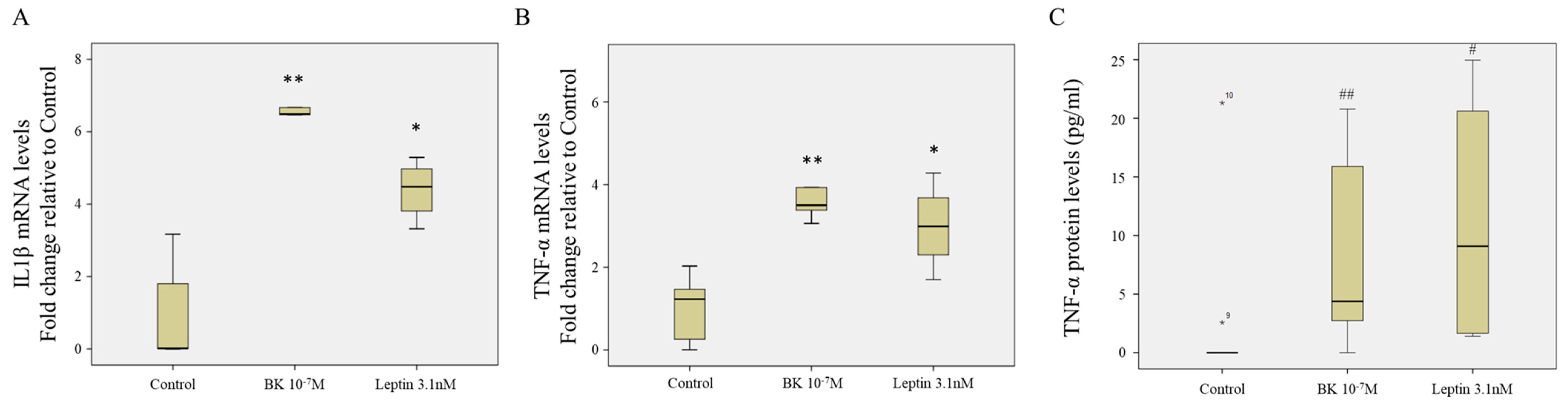 Antioxidants 09 01251 g008 Antioxidants 09 01251 g008