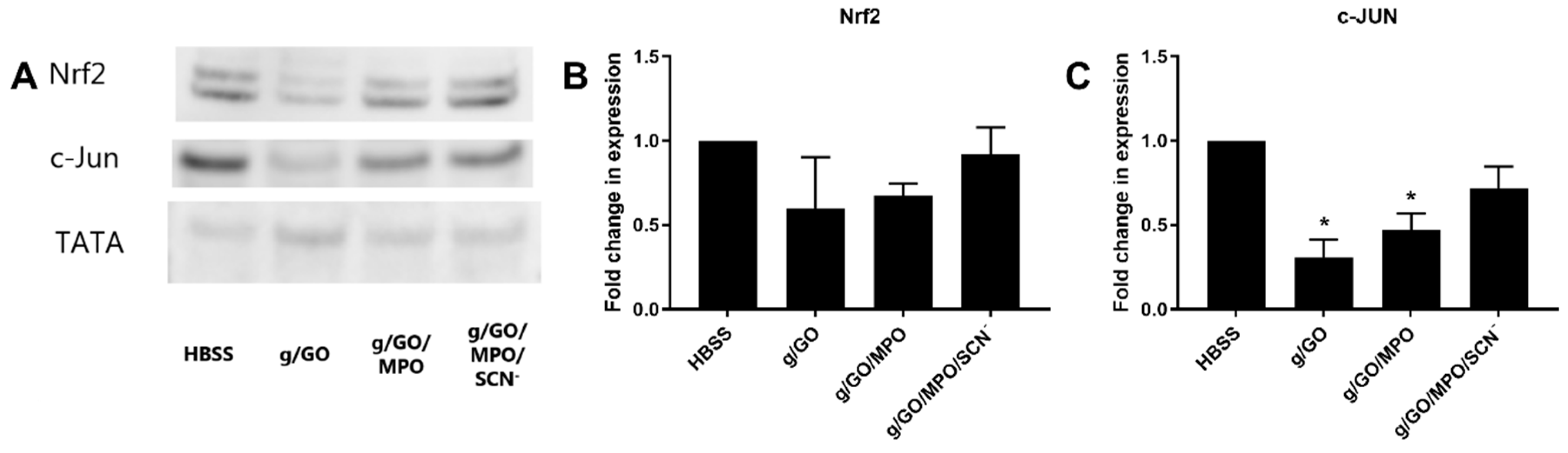Antioxidants 09 01255 g004 Antioxidants 09 01255 g004