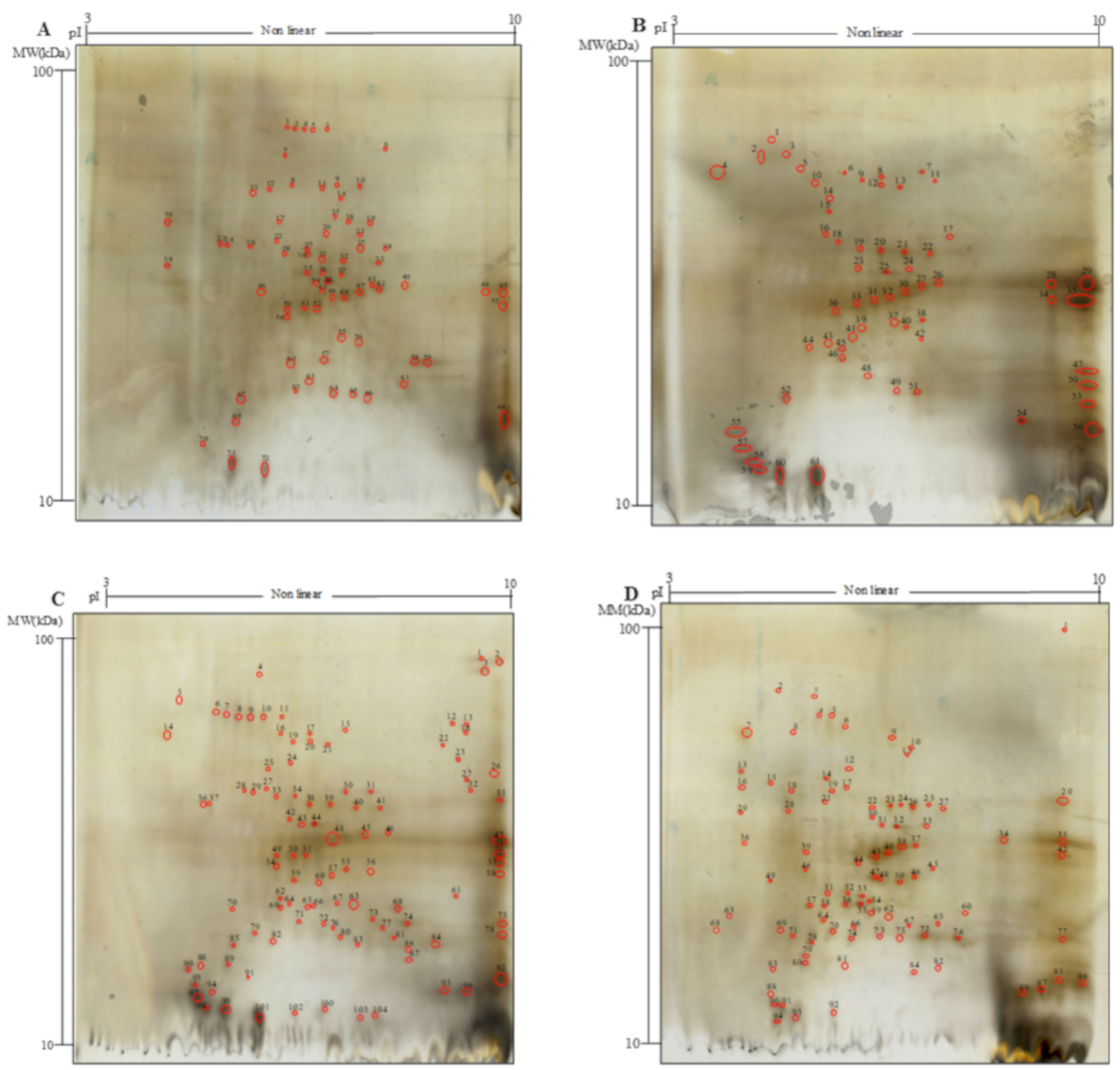 Antioxidants 09 01258 g001 Antioxidants 09 01258 g001