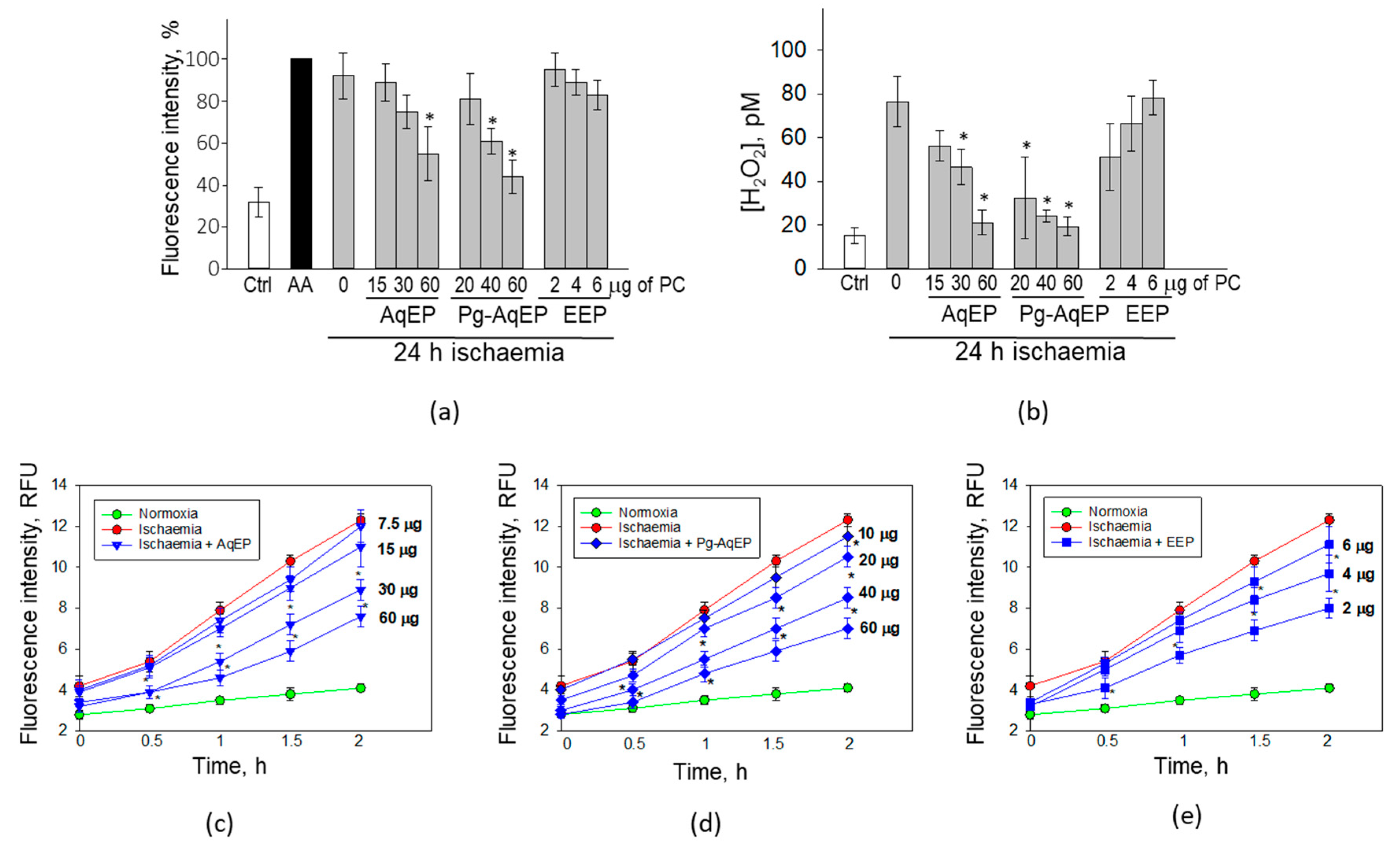 Antioxidants 09 01262 g004