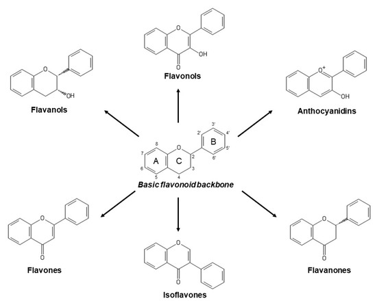 Antioxidants 09 01263 g001 550