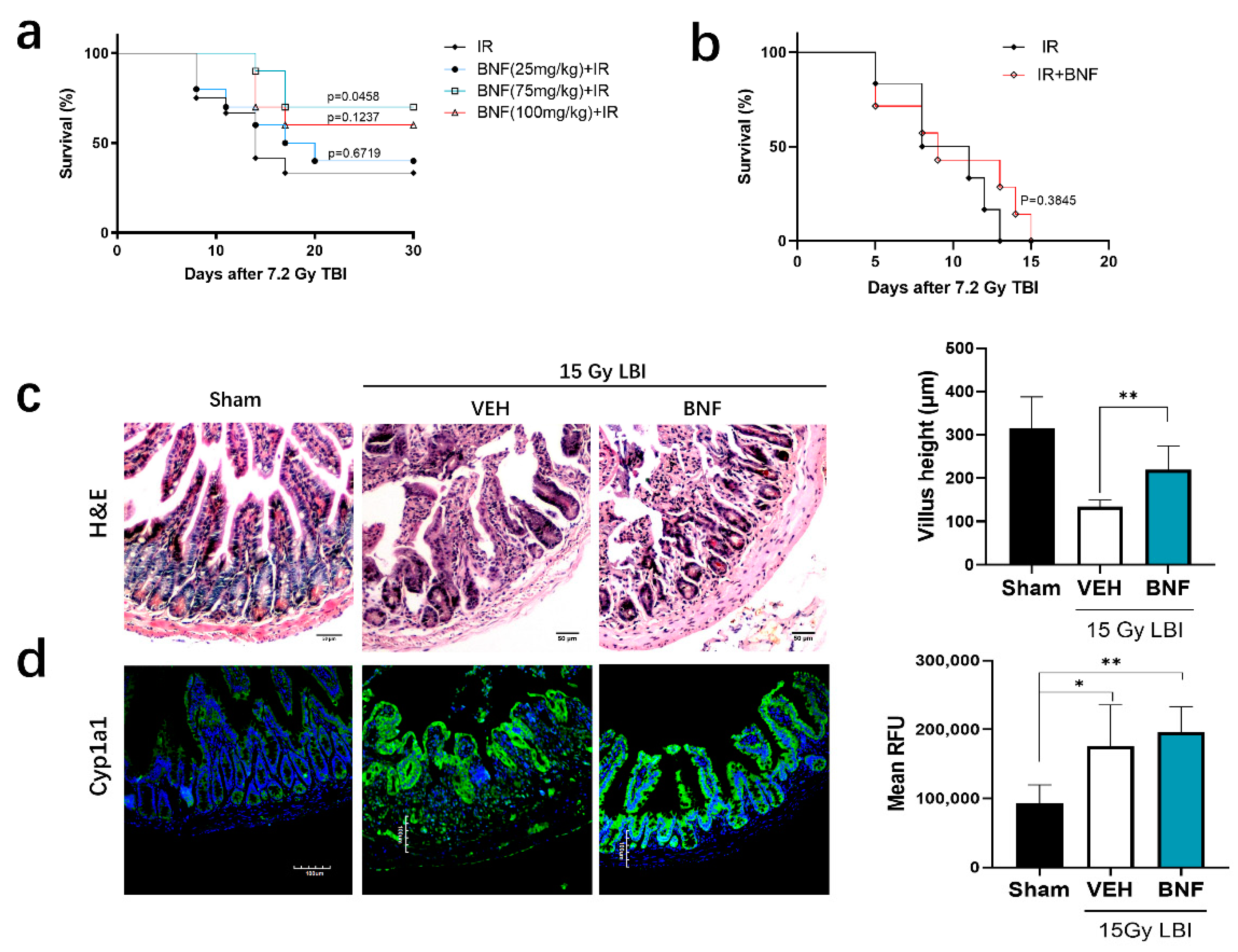 Antioxidants 09 01264 g006 Antioxidants 09 01264 g006