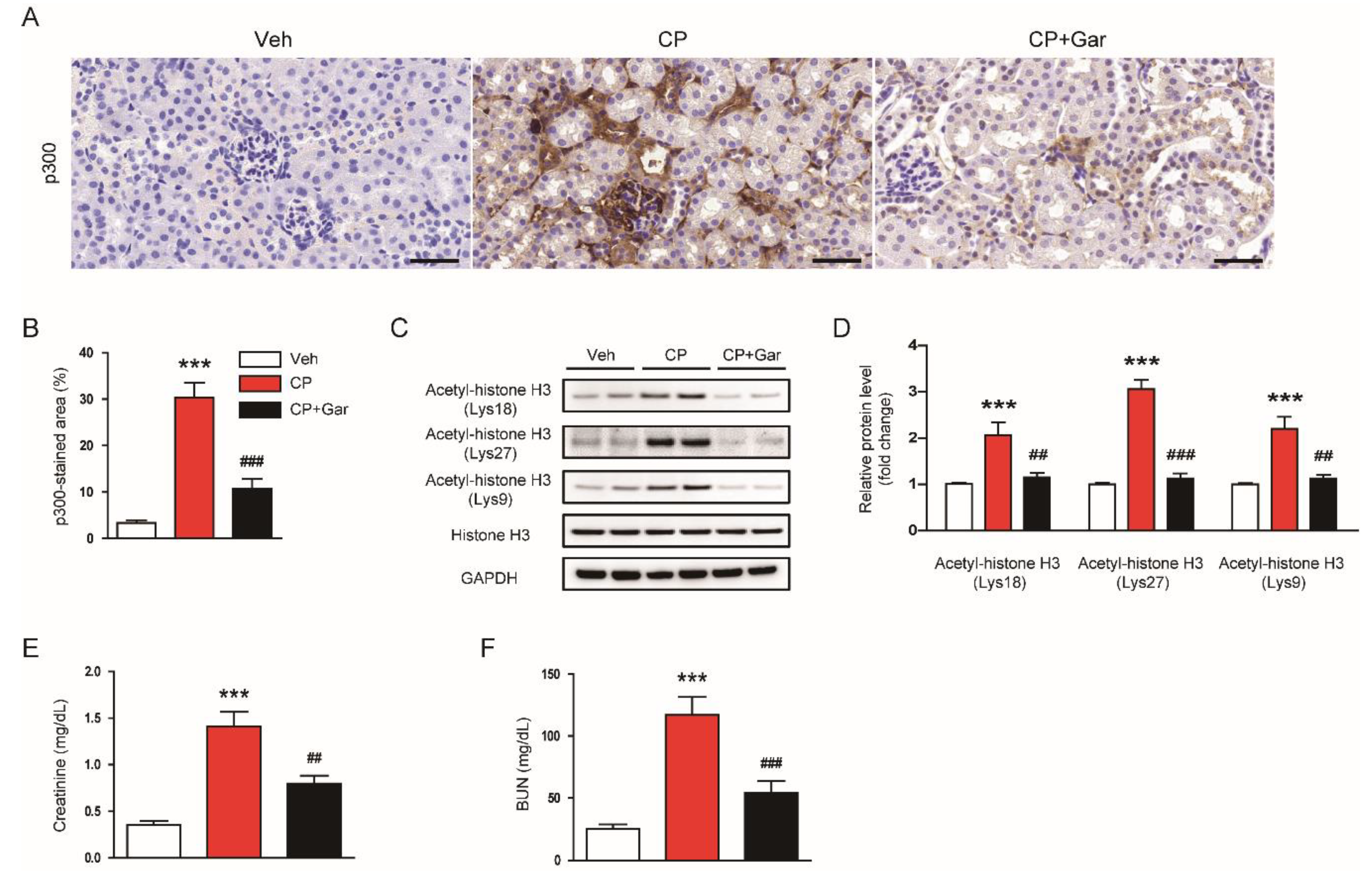 Antioxidants 09 01271 g001 Antioxidants 09 01271 g001