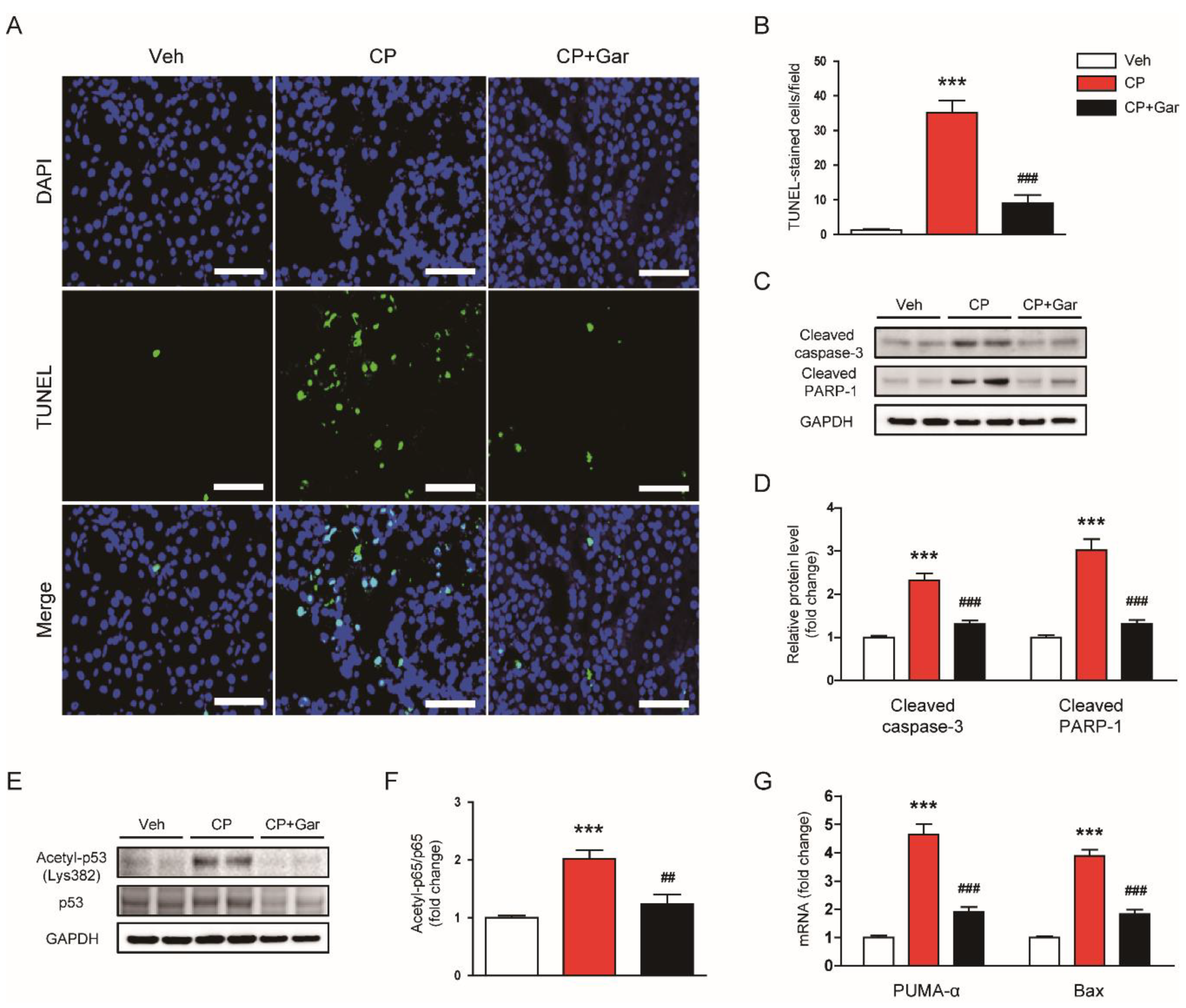 Antioxidants 09 01271 g005 Antioxidants 09 01271 g005