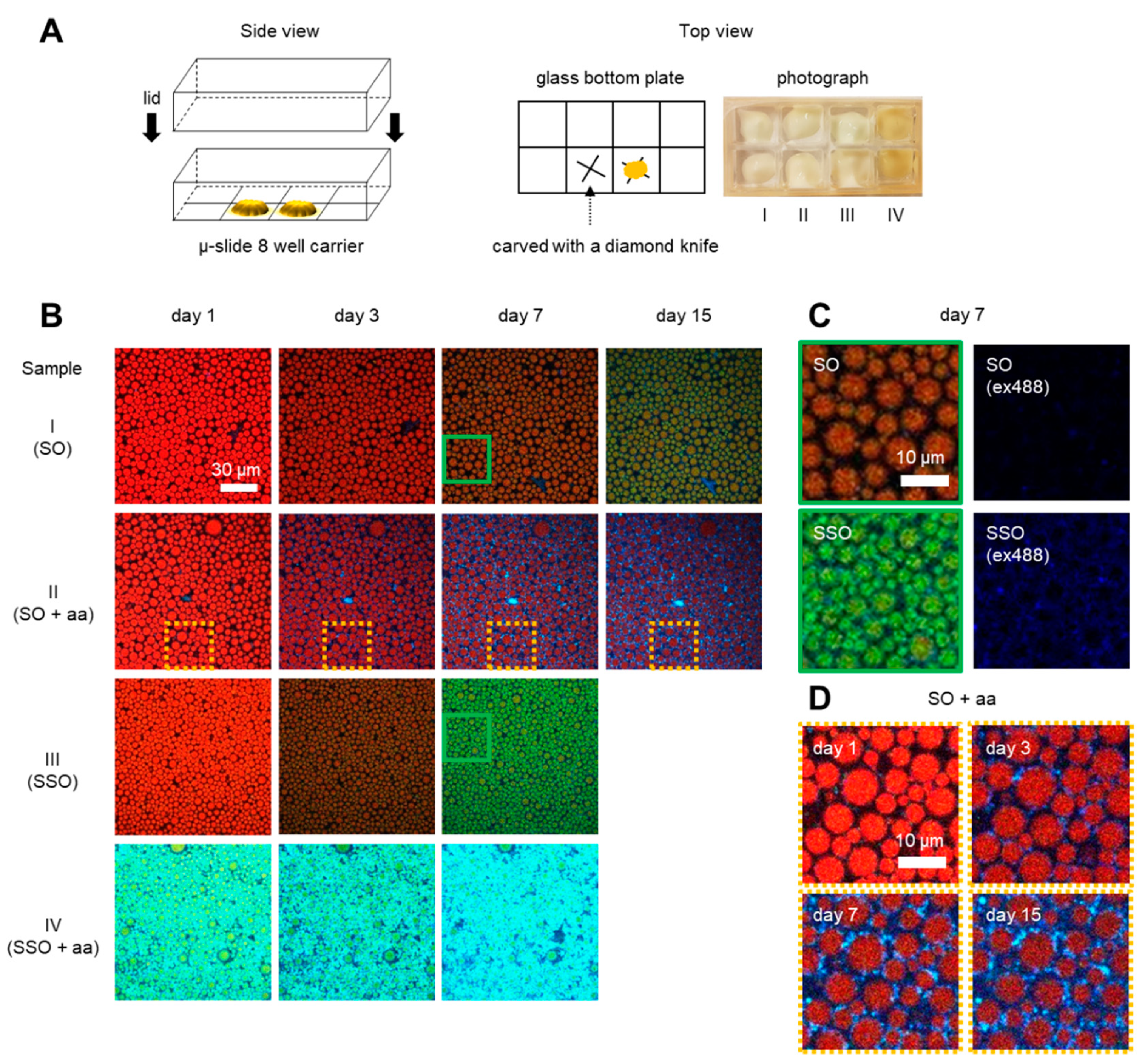 Antioxidants 09 01278 g001 Antioxidants 09 01278 g001